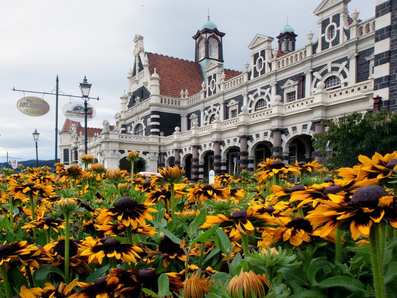 Обои цветы, архитектура, новая зеландия, рудбекия, данидин, flowers, architecture, new zealand, rudbeckia, dunedin разрешение 2400x1587 Загрузить