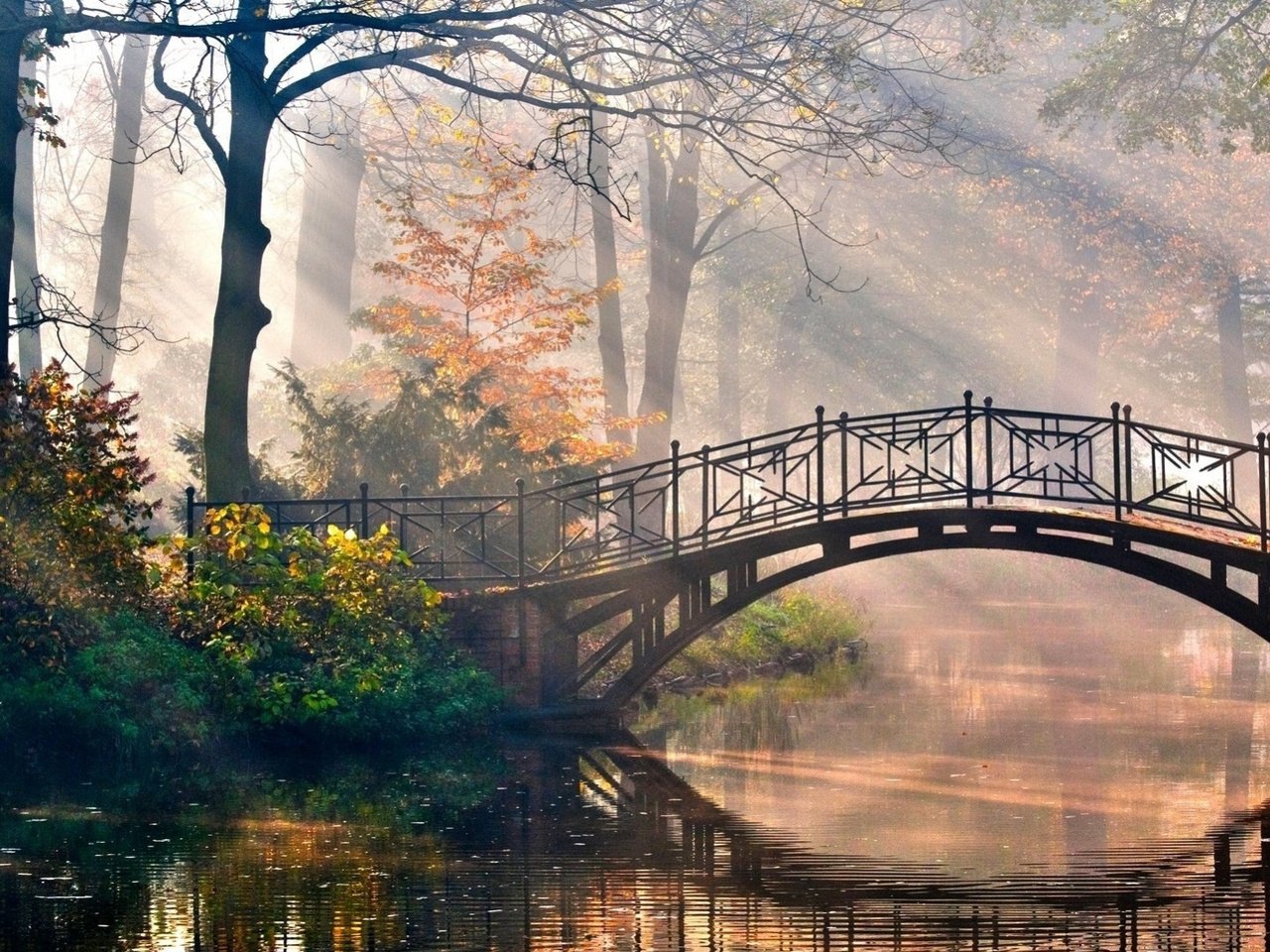 Обои деревья, река, листья, парк, мост, осень, рирода, trees, river, leaves, park, bridge, autumn разрешение 1920x1080 Загрузить