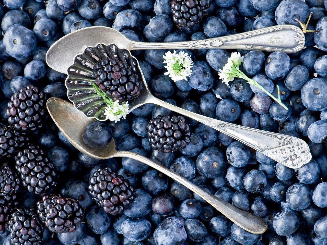 Обои черника, ежевика, blueberries, blackberry разрешение 2000x1329 Загрузить