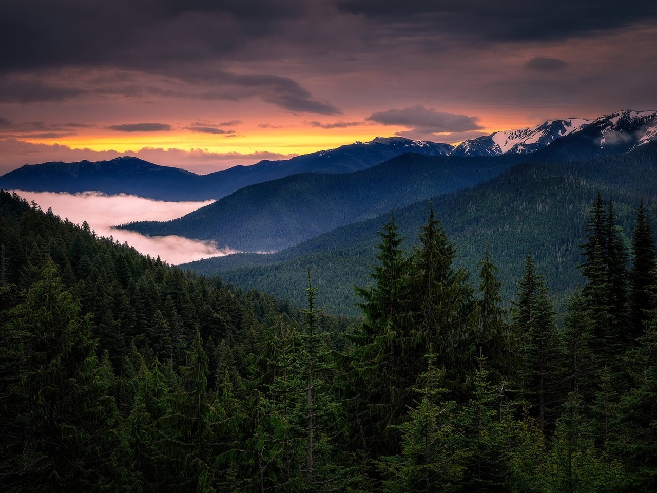 Обои вечер, горы, лес, закат, туман, склоны, ели, the evening, mountains, forest, sunset, fog, the slopes, ate разрешение 2048x1365 Загрузить