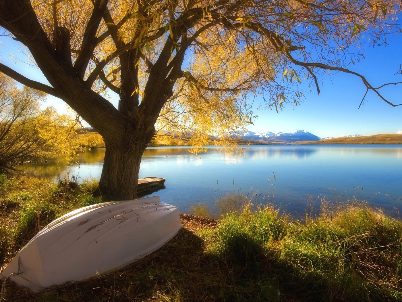 Обои новая зеландия, lake alexandrina, new zealand разрешение 1920x1200 Загрузить