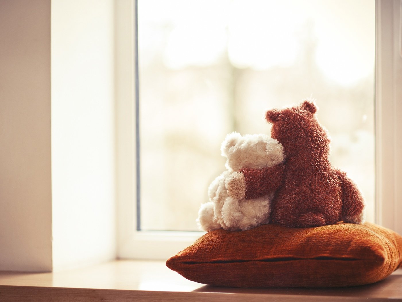 Обои мишки, игрушки, окно, подушка, мягкие, bears, toys, window, pillow, soft разрешение 4256x2832 Загрузить