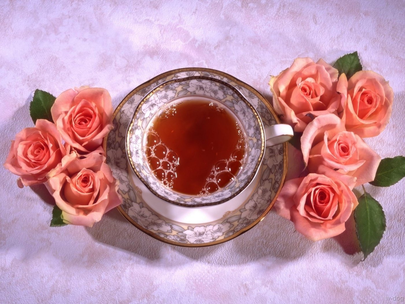 Обои цветы, розы, блюдце, чашка, чай, натюрморт, flowers, roses, saucer, cup, tea, still life разрешение 1920x1339 Загрузить