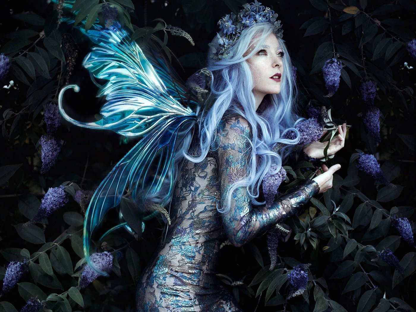 Обои стиль, девушка, поза, фея, венок, крылышки, bella kotak, jessica dru, fae, style, girl, pose, fairy, wreath, wings разрешение 2048x2048 Загрузить