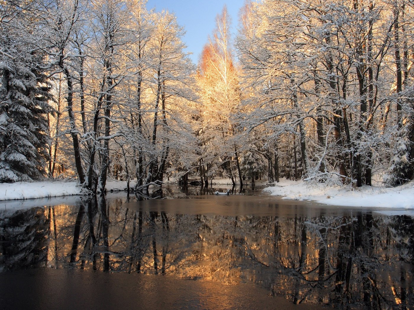 Обои деревья, река, снег, лес, зима, отражение, лёд, trees, river, snow, forest, winter, reflection, ice разрешение 2560x1600 Загрузить