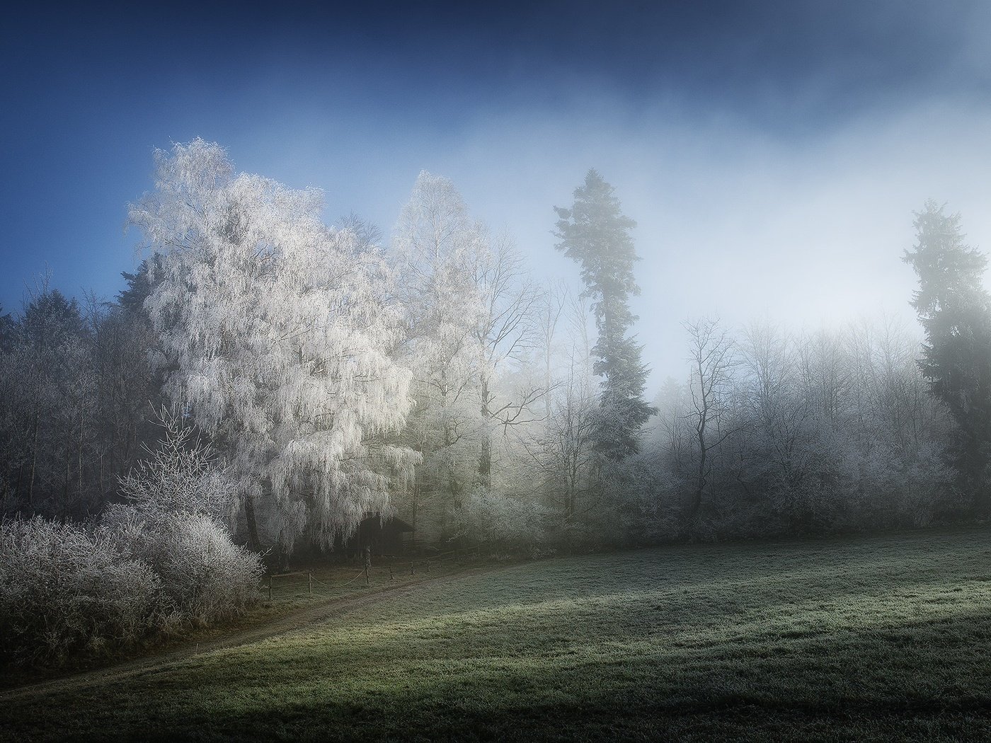 Обои деревья, природа, зима, туман, иней, trees, nature, winter, fog, frost разрешение 1920x1280 Загрузить