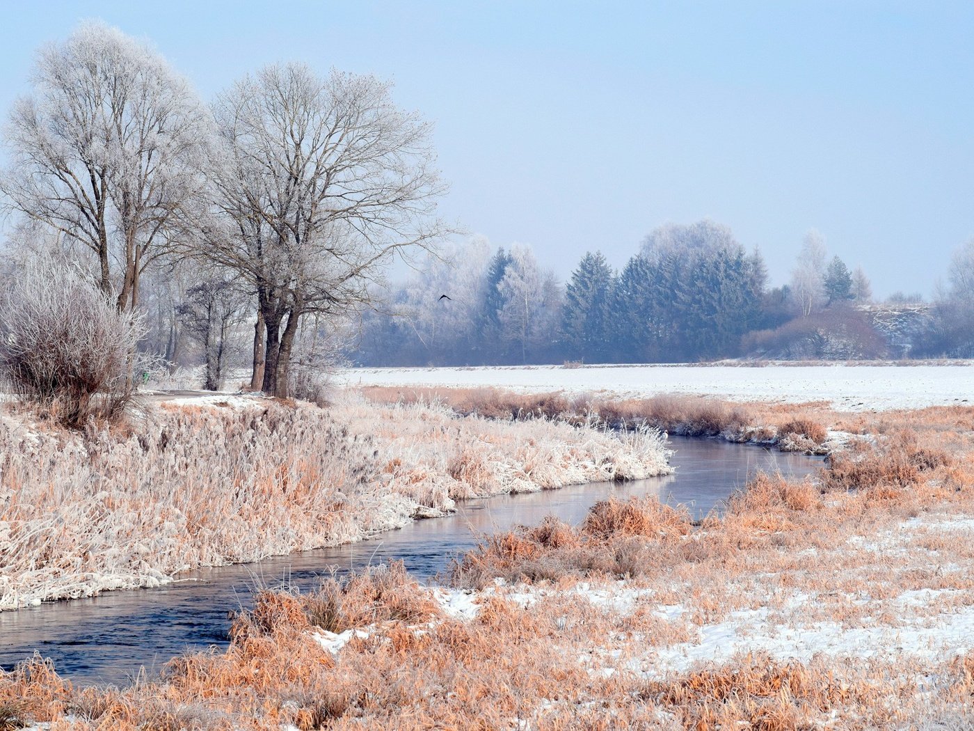 Обои трава, деревья, вода, снег, природа, лес, зима, иней, grass, trees, water, snow, nature, forest, winter, frost разрешение 1920x1317 Загрузить