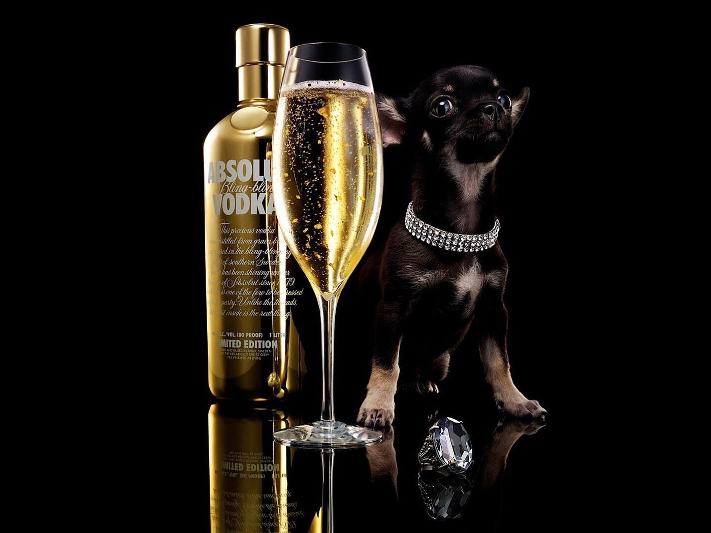 Обои собака, чихуахуа, щенок, absolut, бокал, черный фон, бутылка, шампанское, алкоголь, водка, dog, chihuahua, puppy, glass, black background, bottle, champagne, alcohol, vodka разрешение 1920x1080 Загрузить