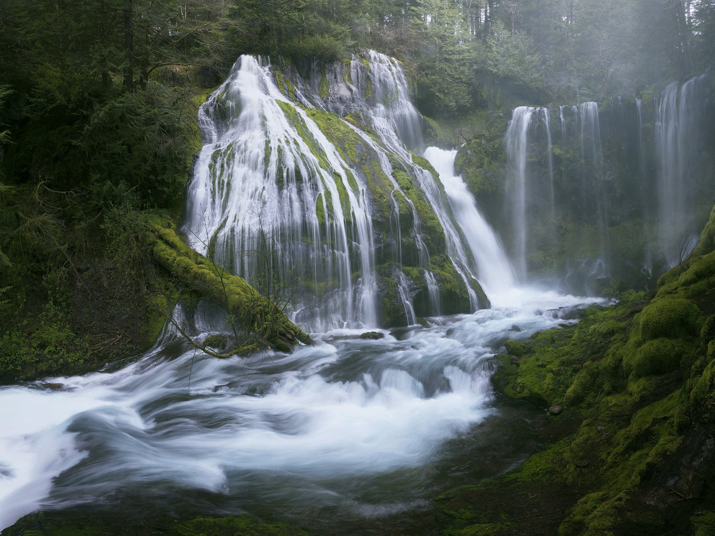 Обои деревья, вода, река, природа, лес, пейзаж, водопад, мох, trees, water, river, nature, forest, landscape, waterfall, moss разрешение 2560x1600 Загрузить