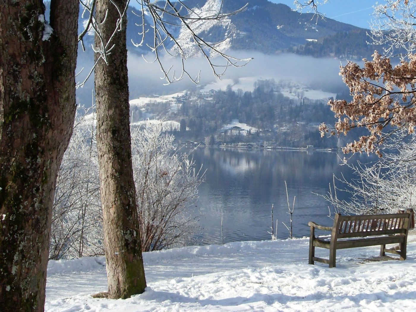 Обои деревья, река, горы, снег, зима, скамейка, trees, river, mountains, snow, winter, bench разрешение 1920x1080 Загрузить