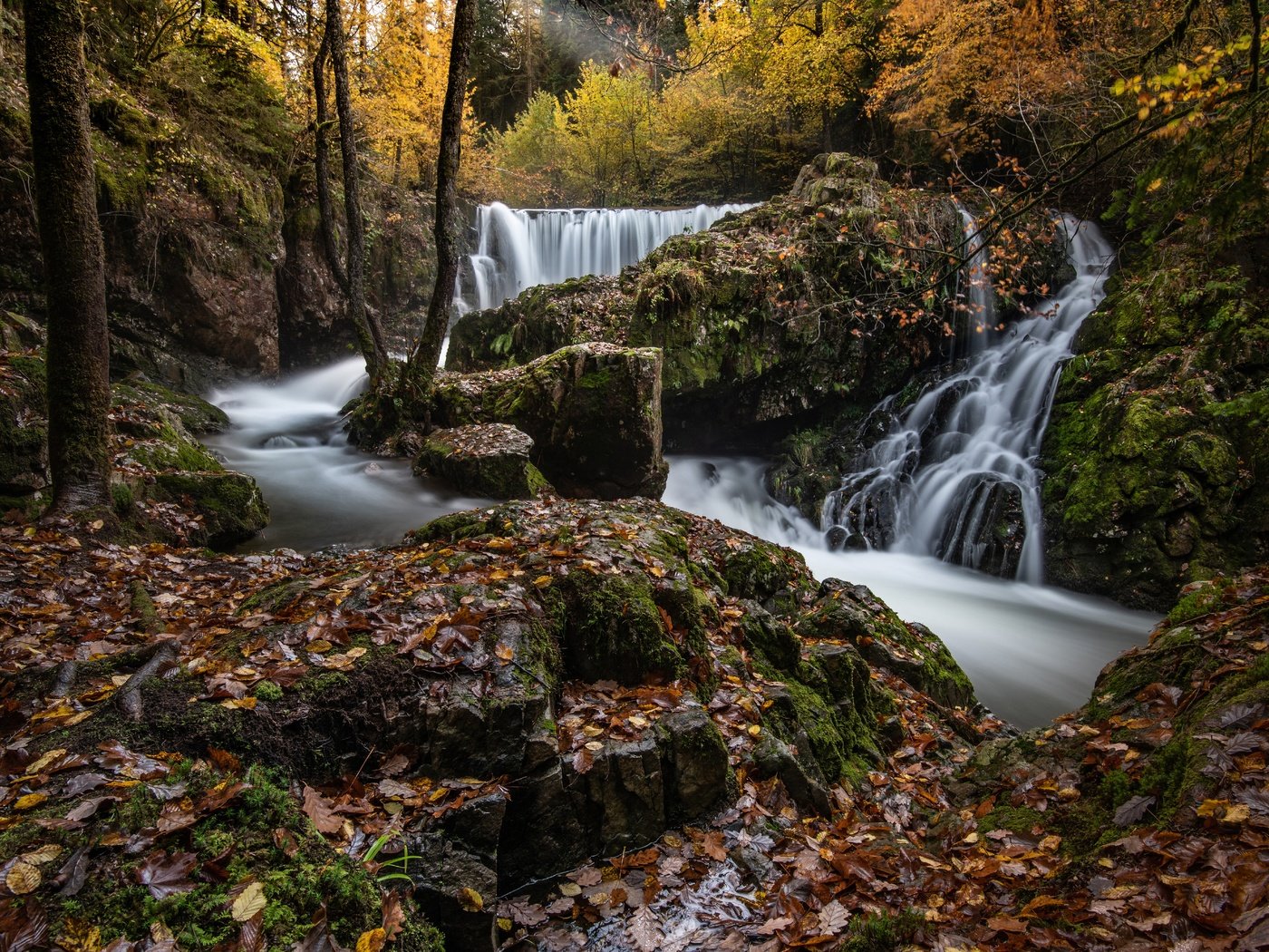 Обои деревья, река, лес, ручей, осень, водопады, опавшие листья, каскад, trees, river, forest, stream, autumn, waterfalls, fallen leaves, cascade разрешение 7192x4521 Загрузить