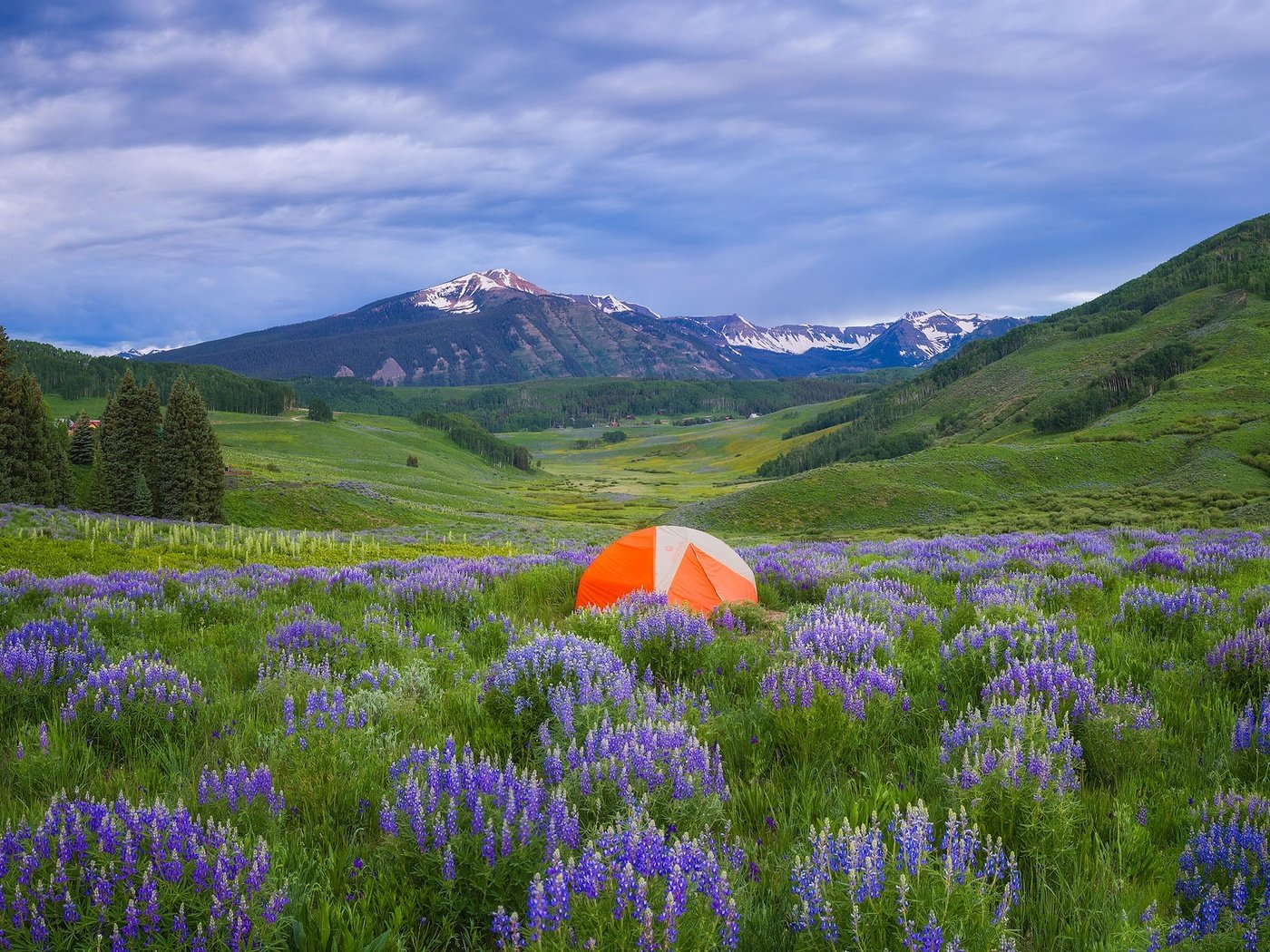 Обои цветы, луг, палатка, туризм, люпины, flowers, meadow, tent, tourism, lupins разрешение 2047x1286 Загрузить