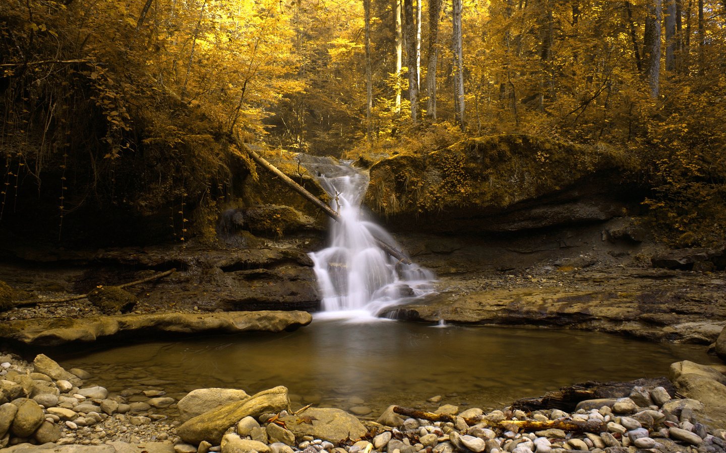 Обои озеро, скалы, лес, водопад, осень, швейцария, поток, золото, lake, rocks, forest, waterfall, autumn, switzerland, stream, gold разрешение 2560x1600 Загрузить