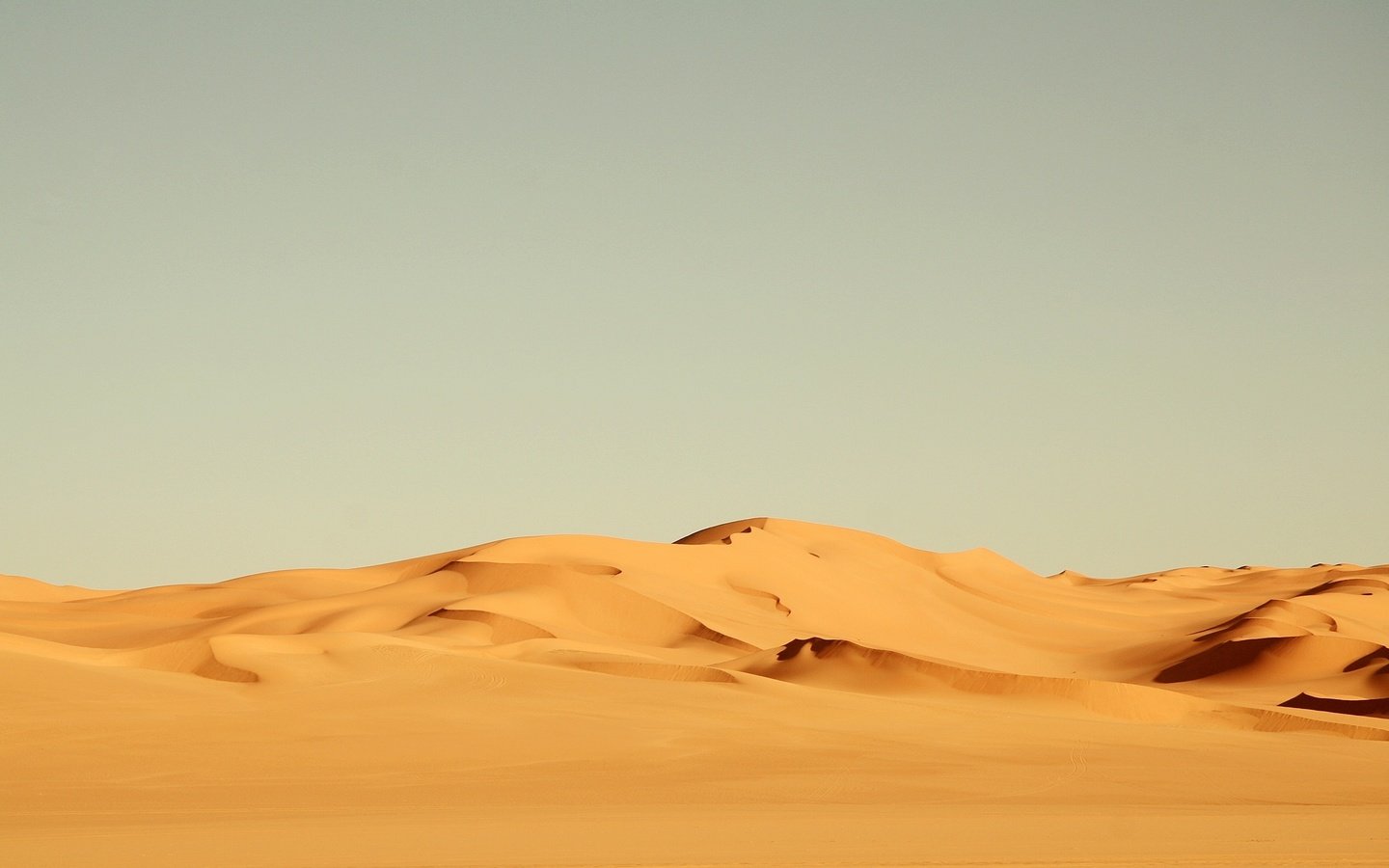Обои желтый, песок, пустыня, африка, ветер, жара, ландшафт, на природе, yellow, sand, desert, africa, the wind, heat, landscape, nature разрешение 2560x1600 Загрузить