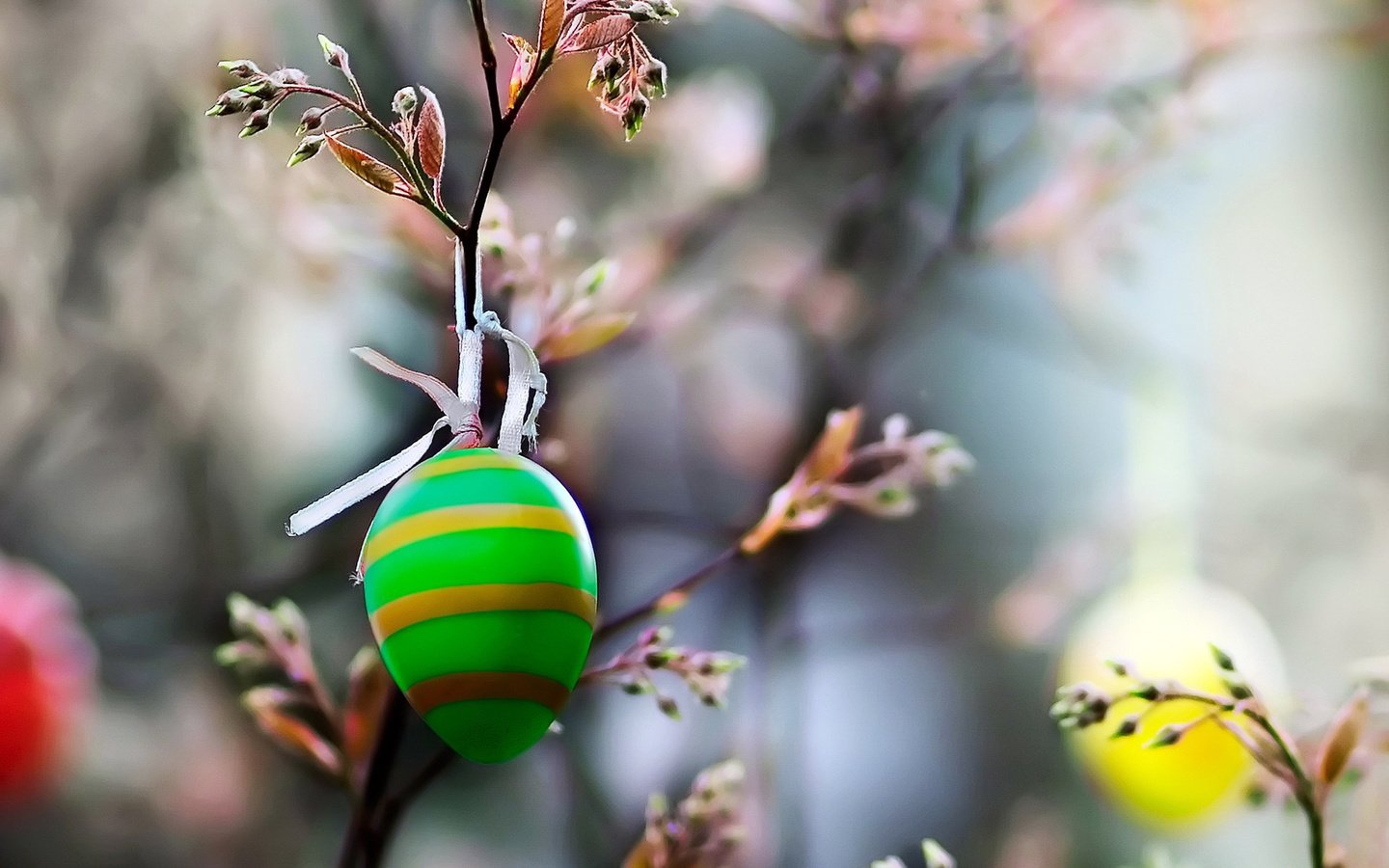 Обои ветка, природа, макро, пасха, праздник, зеленое, яйцо, цветное, branch, nature, macro, easter, holiday, green, egg, color разрешение 1920x1200 Загрузить