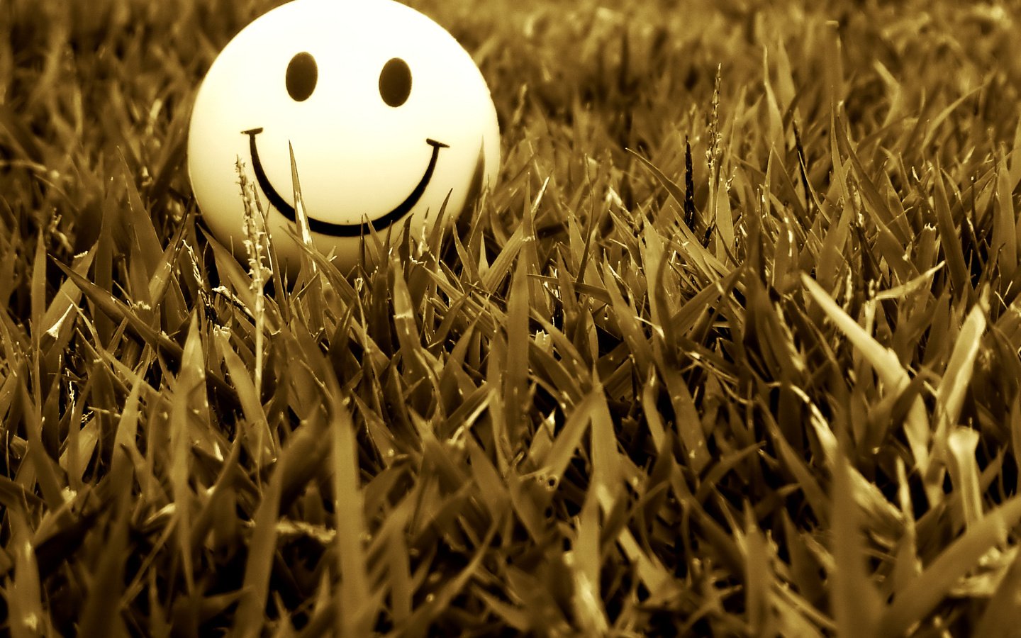 Обои трава, настроение, улыбка, смайлик, trava, nastroenie, smajl, удыбка, grass, mood, smile, smiley, ulybka разрешение 2048x1536 Загрузить