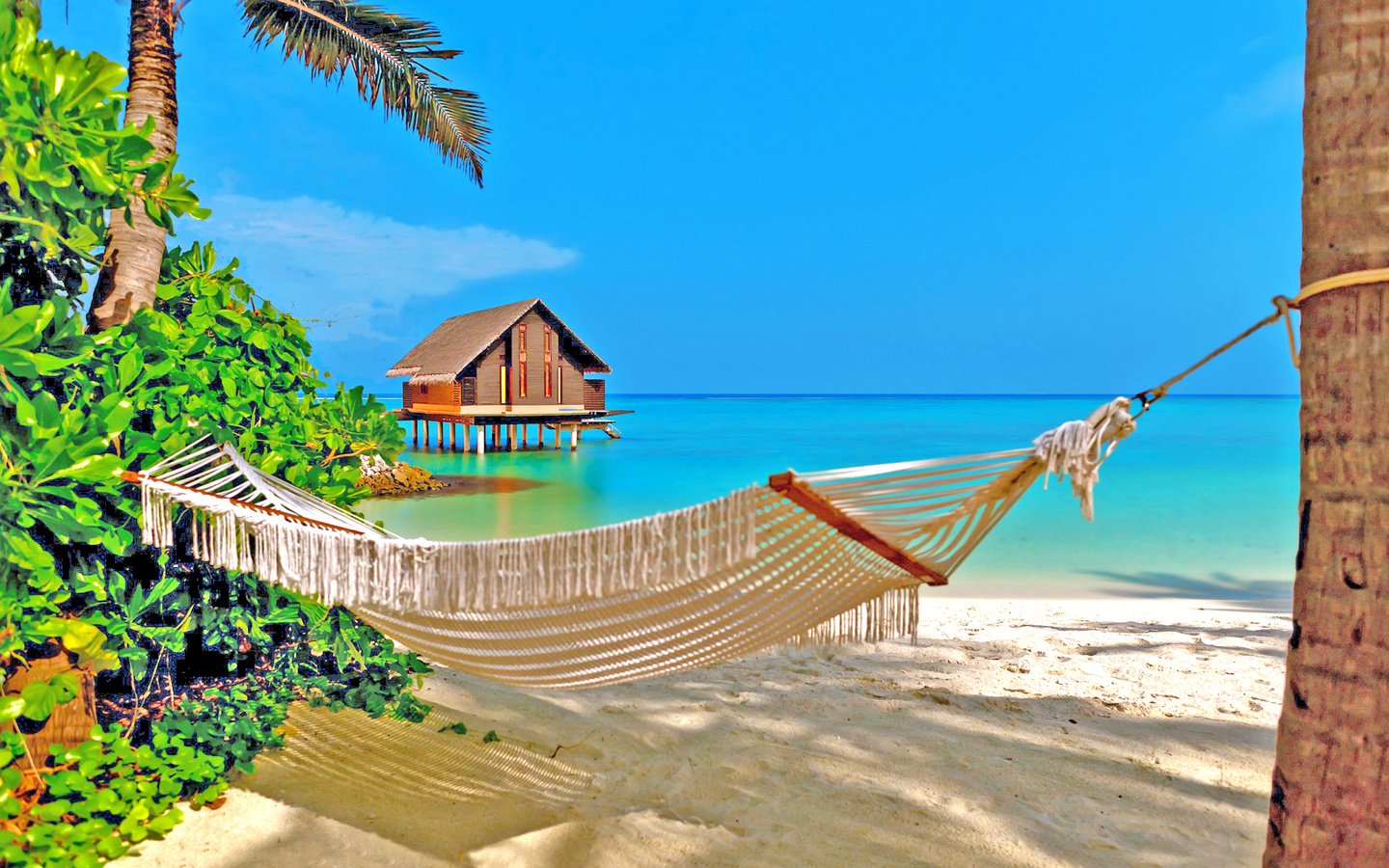 Обои море, пляж, гамак, тропики, sea, beach, hammock, tropics разрешение 2536x1615 Загрузить