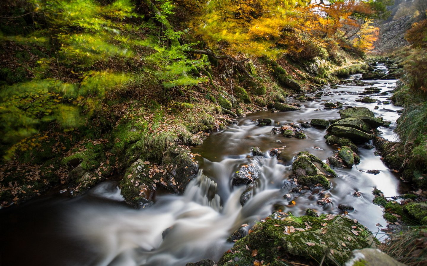 Обои река, природа, камни, поток, мох, river, nature, stones, stream, moss разрешение 1920x1200 Загрузить