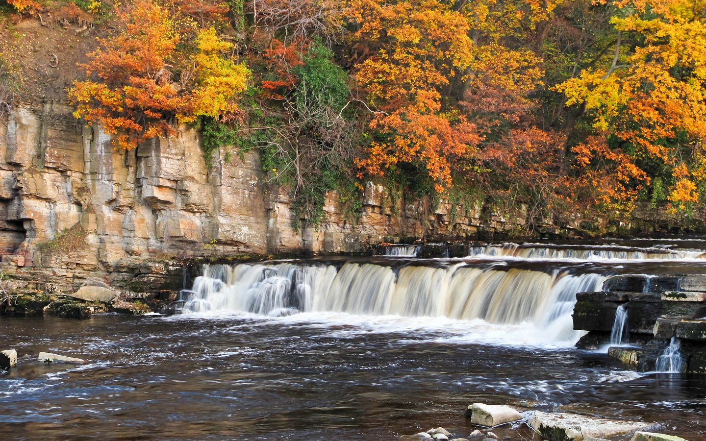 Обои деревья, река, горы, скалы, пороги, осень, richmond falls, trees, river, mountains, rocks, thresholds, autumn разрешение 1920x1101 Загрузить