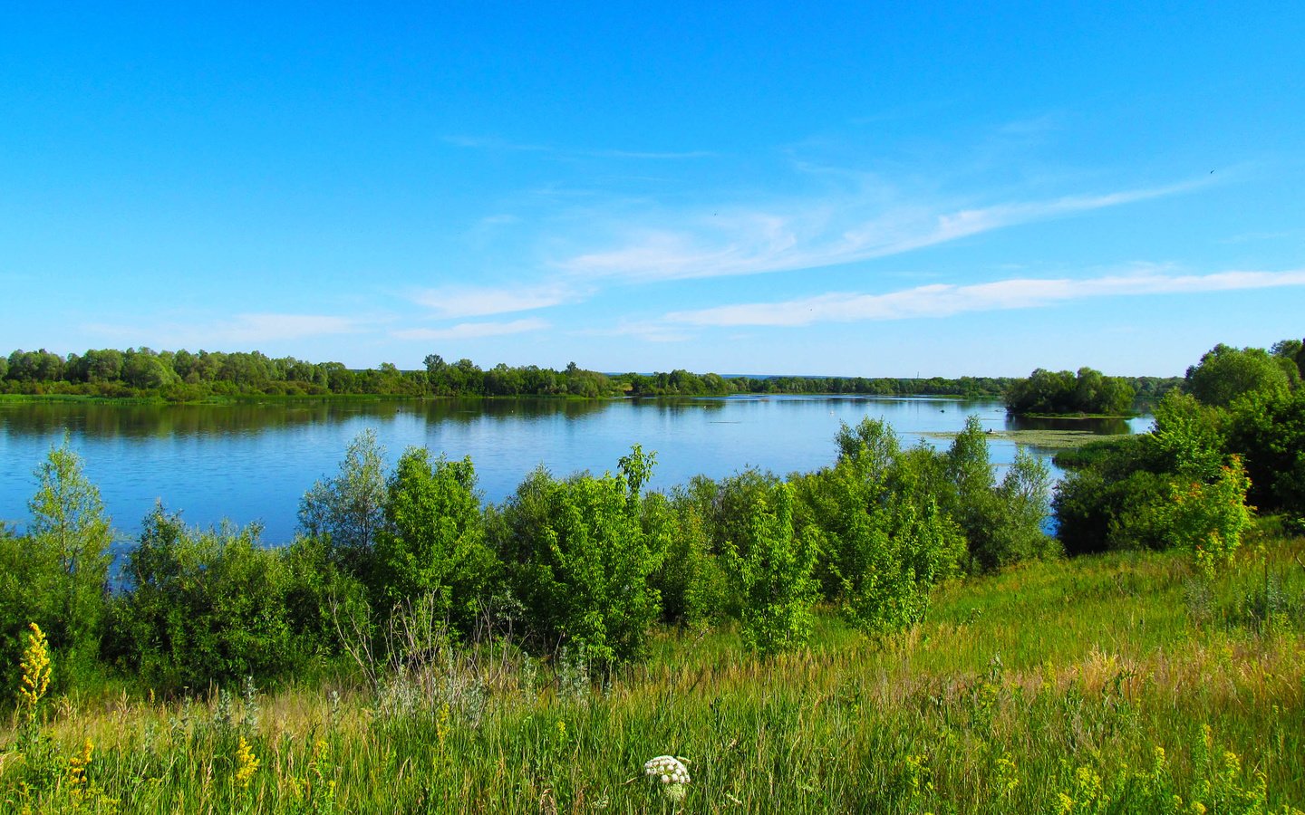 Обои небо, деревья, река, сура, берег реки, the sky, trees, river, sur, the river разрешение 2560x1600 Загрузить