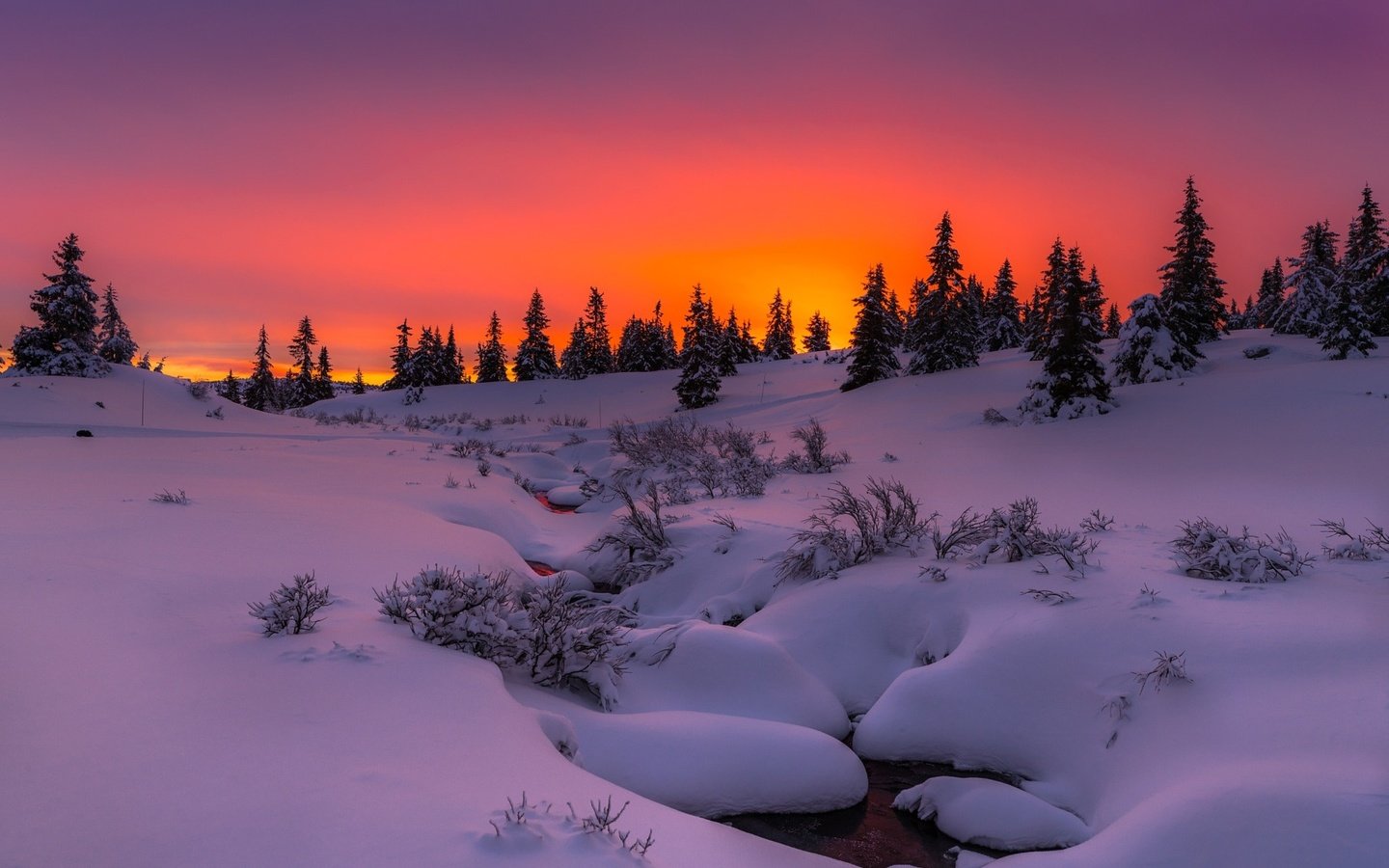 Обои деревья, сугробы, вечер, снег, природа, лес, закат, зима, ручей, trees, the snow, the evening, snow, nature, forest, sunset, winter, stream разрешение 2048x1410 Загрузить