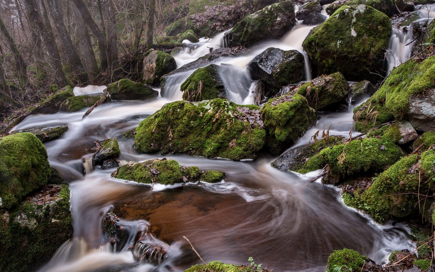 Обои деревья, камни, лес, водопад, мох, речка, trees, stones, forest, waterfall, moss, river разрешение 2048x1365 Загрузить