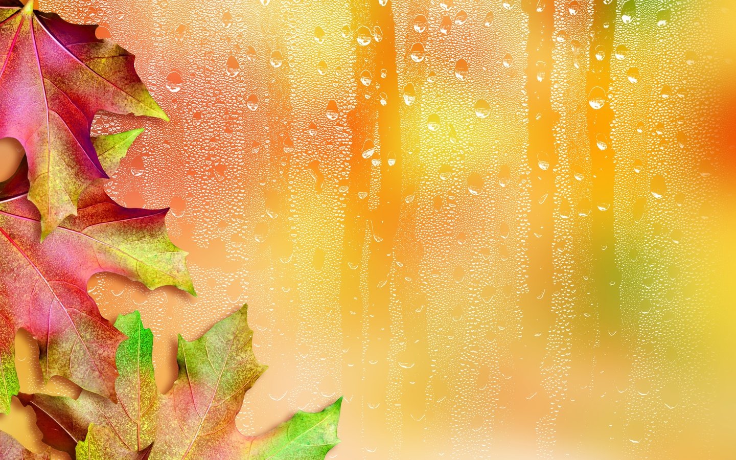 Обои листья, капли, осень, стекло, клен, кленовый лист, leaves, drops, autumn, glass, maple, maple leaf разрешение 2987x2985 Загрузить