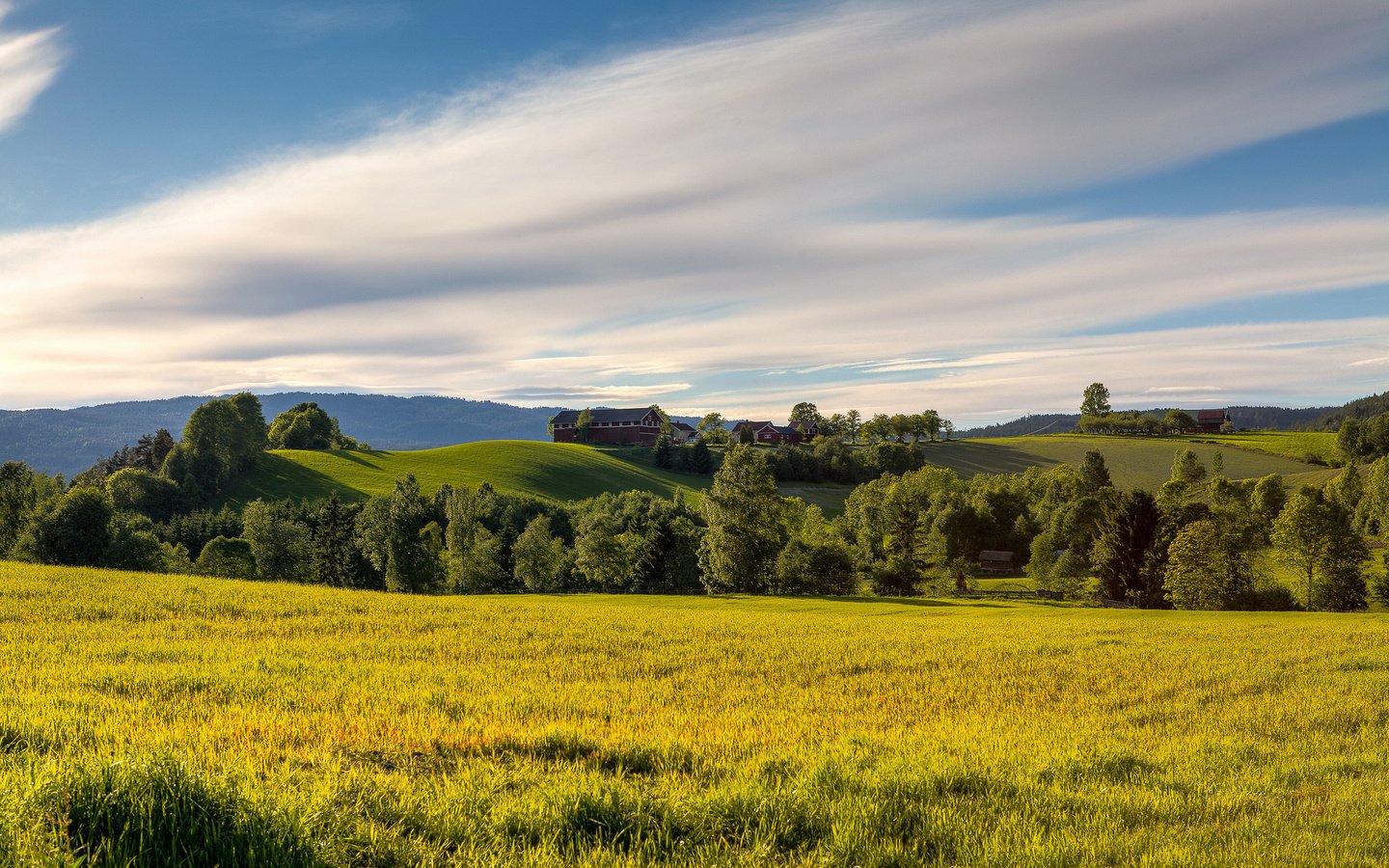 Обои небо, трава, облака, деревья, поле, лето, дом, норвегия, the sky, grass, clouds, trees, field, summer, house, norway разрешение 2048x1357 Загрузить