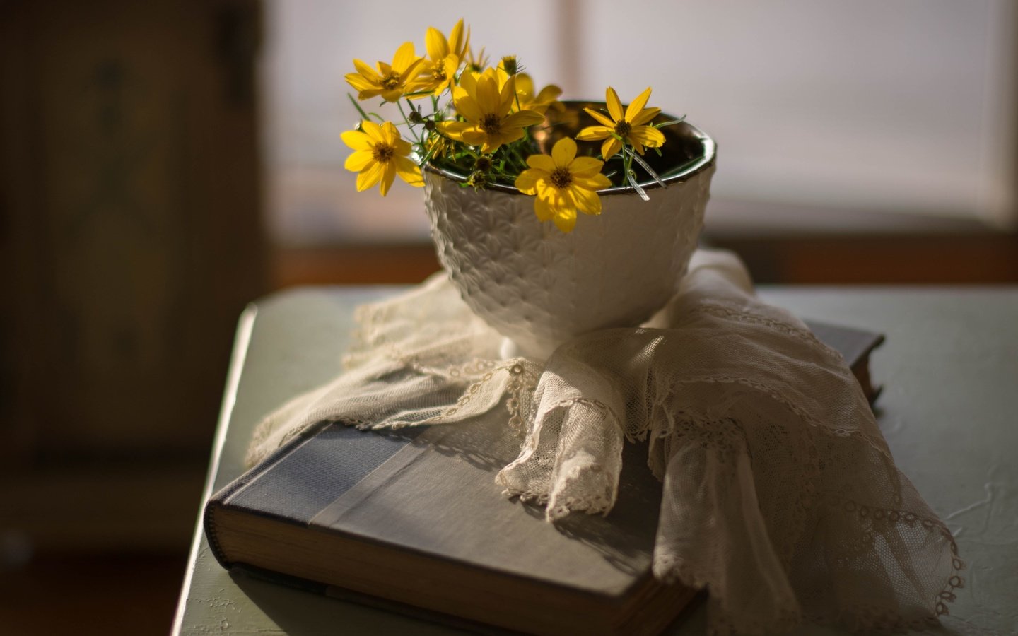 Обои цветы, фон, лепестки, салфетка, книга, flowers, background, petals, napkin, book разрешение 5167x3575 Загрузить