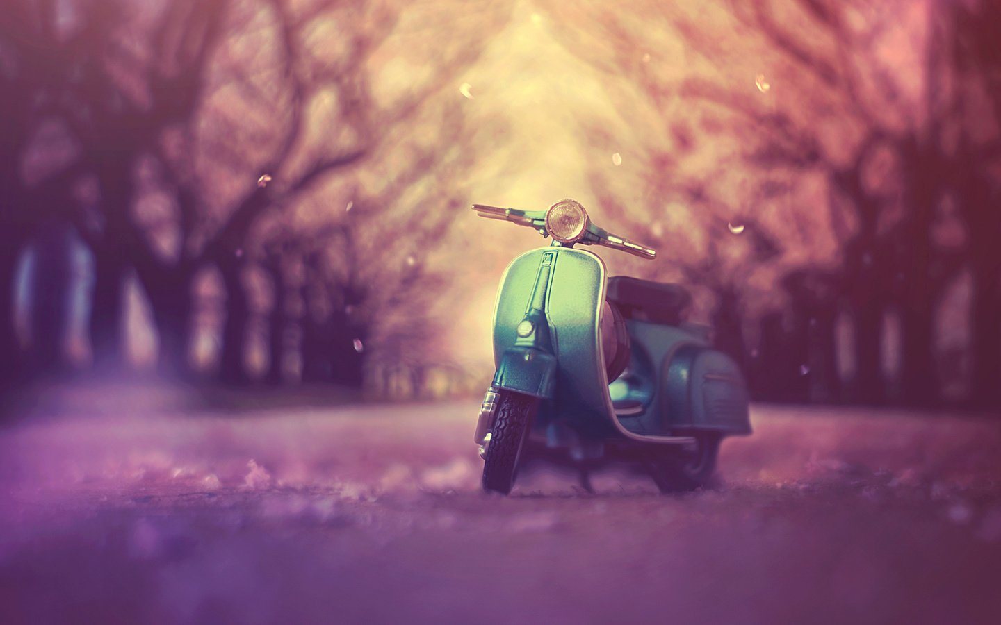 Обои игрушка, мотоцикл, моделька, ashraful arefin, toy, motorcycle, model разрешение 1920x1200 Загрузить