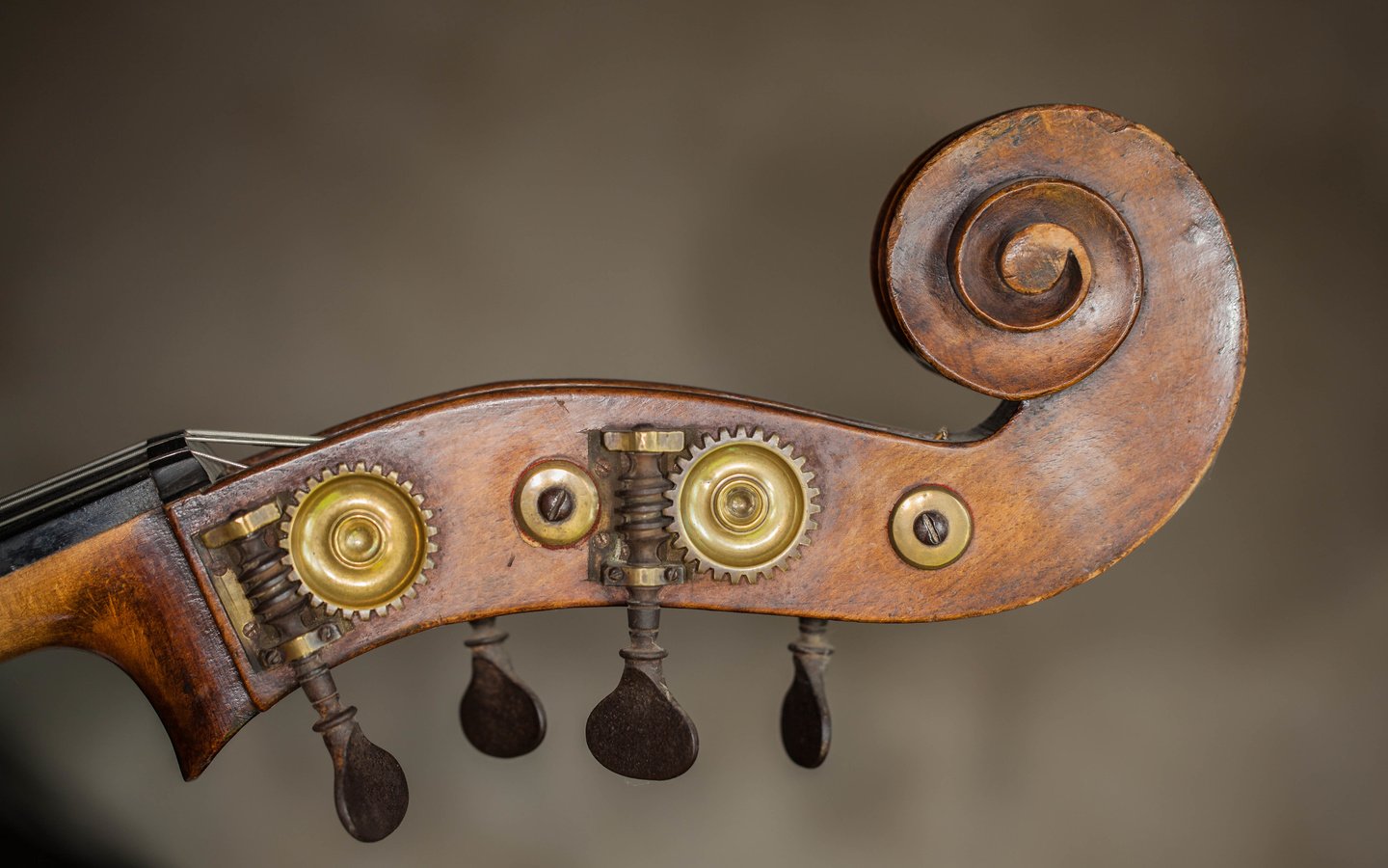Обои скрипка, крупный план, музыкальный инструмент, violin, close-up, musical instrument разрешение 5614x3743 Загрузить