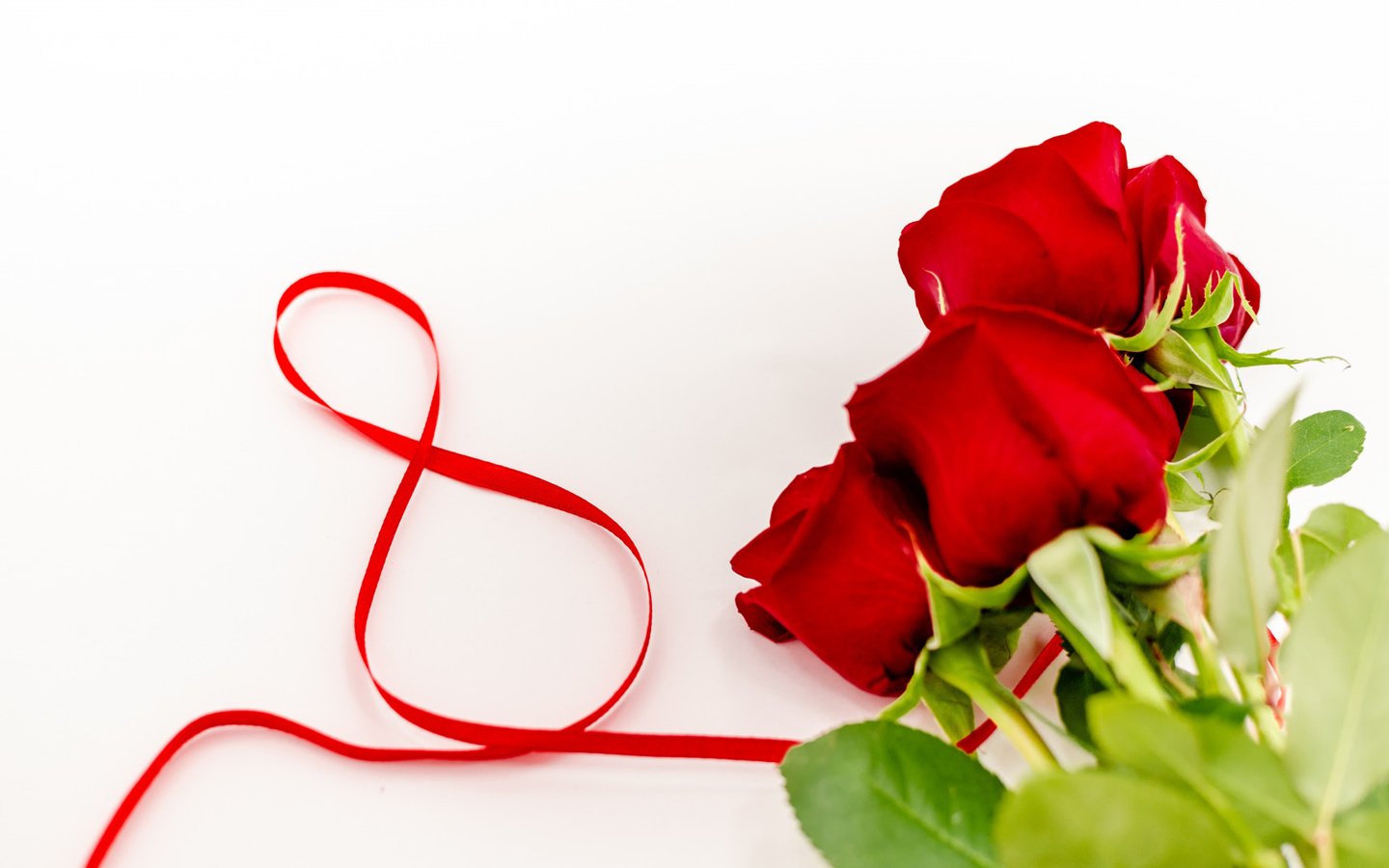 Обои цветы, розы, красные, лента, романтик, 8 марта, flowers, roses, red, tape, romantic, march 8 разрешение 1920x1080 Загрузить