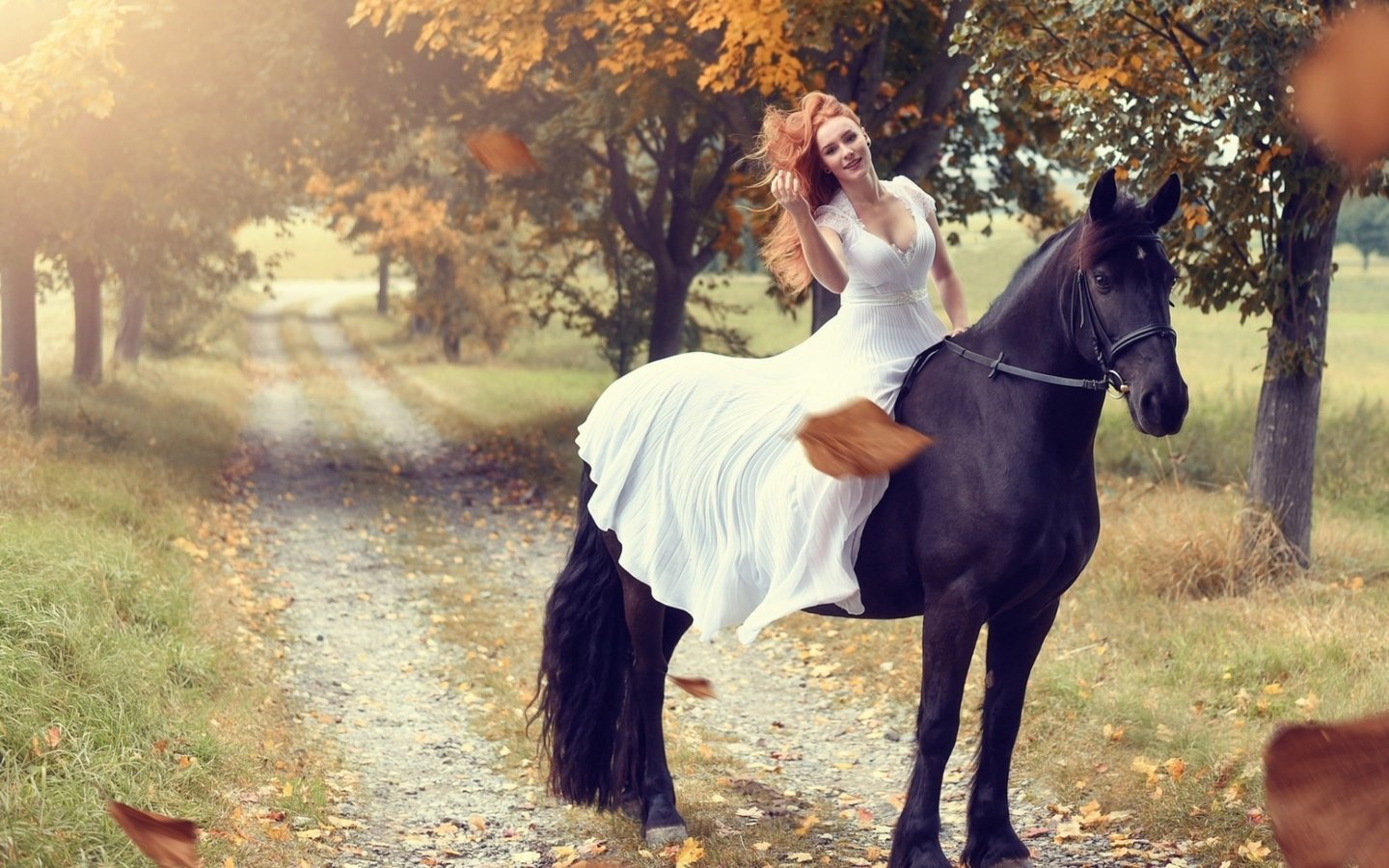 Обои девушка, верхом, на лошади, girl, top, horse разрешение 2560x1440 Загрузить