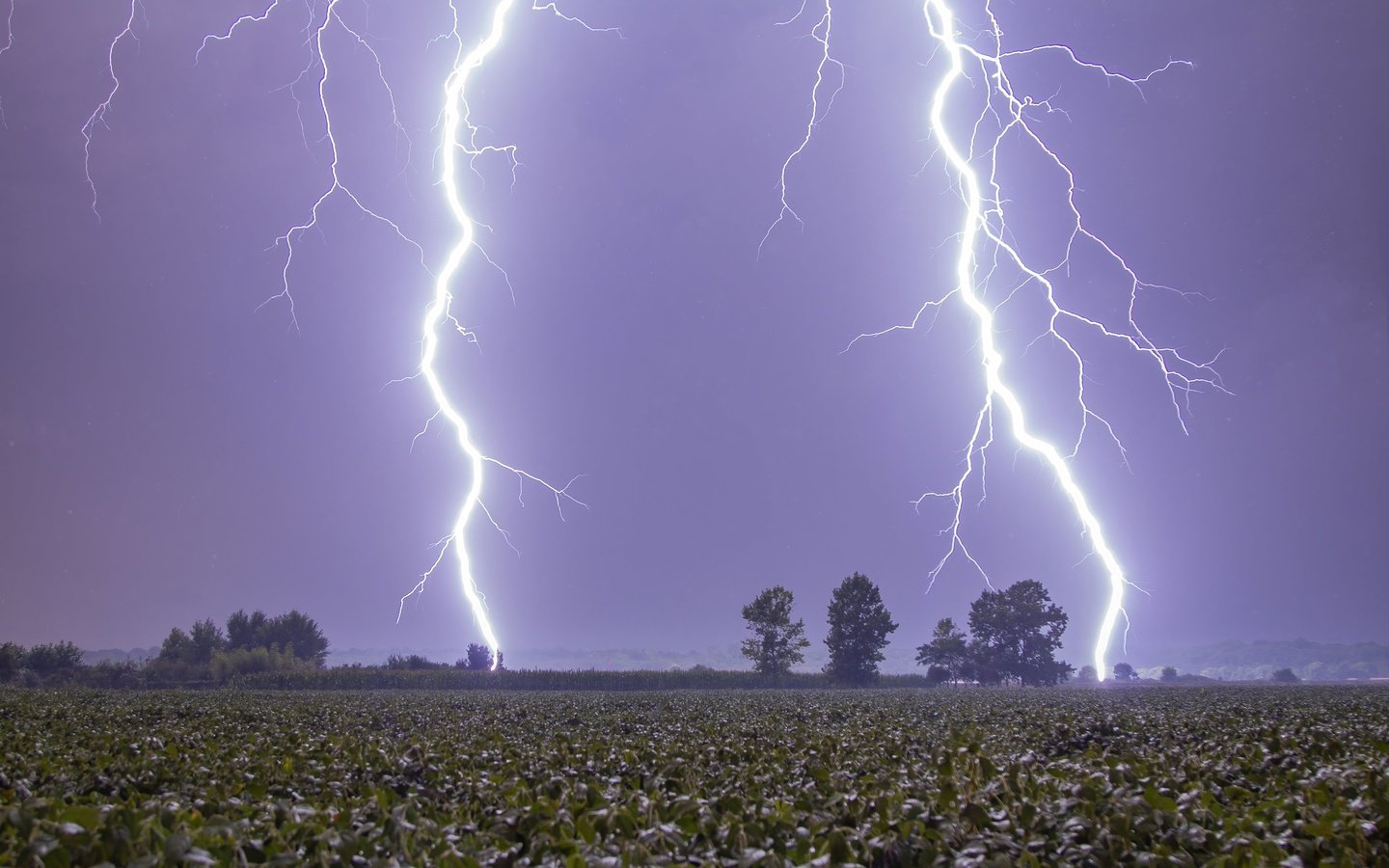 Обои деревья, молния, поле, гроза, trees, lightning, field, the storm разрешение 2048x1365 Загрузить