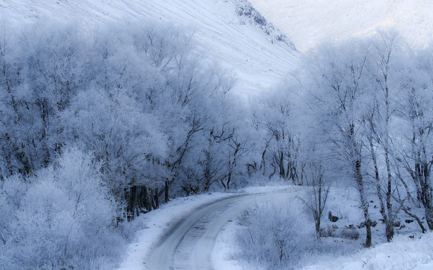 Обои дорога, снег, зима, road, snow, winter разрешение 3840x2160 Загрузить