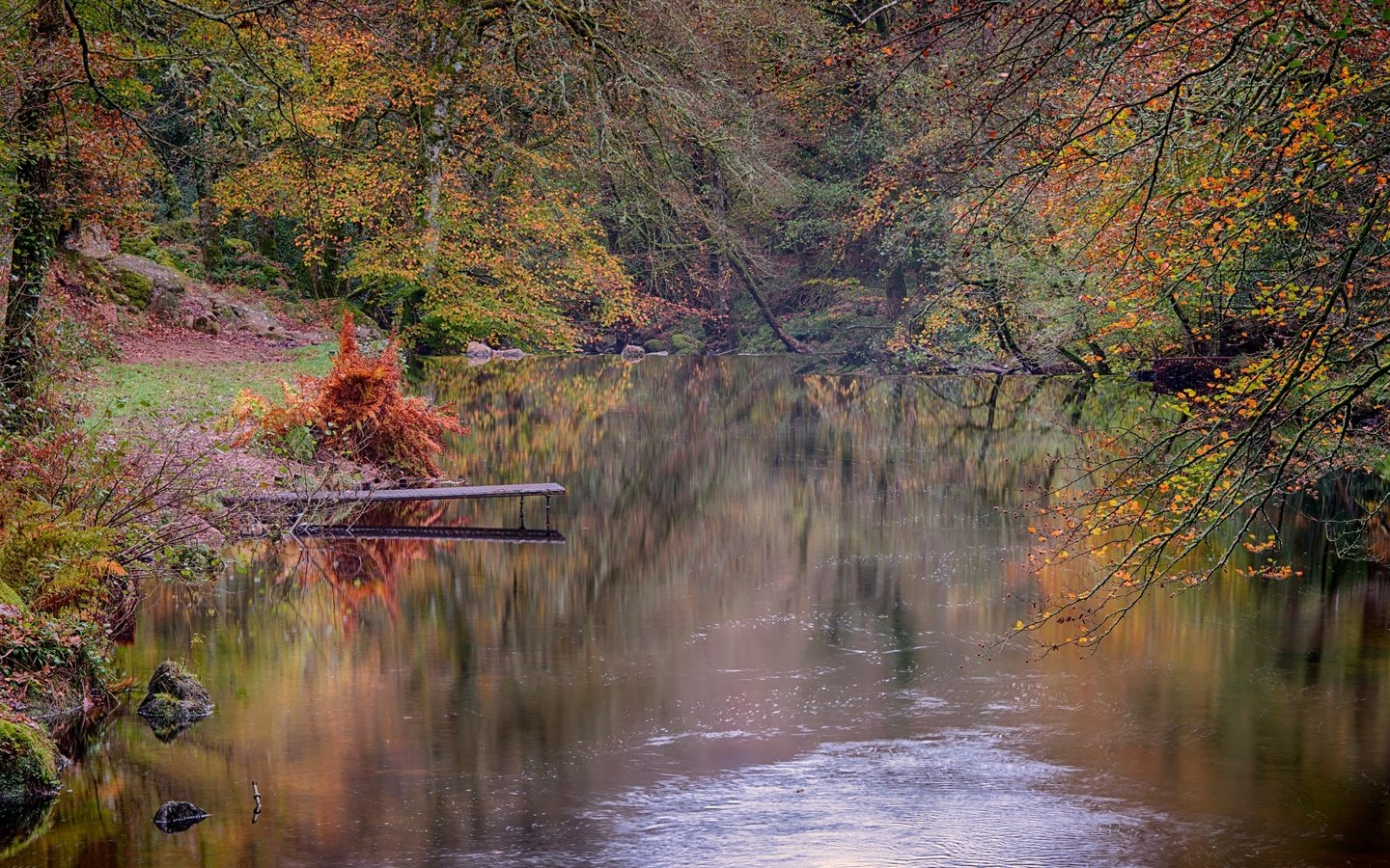 Обои лес, осень, речка, forest, autumn, river разрешение 5120x2567 Загрузить