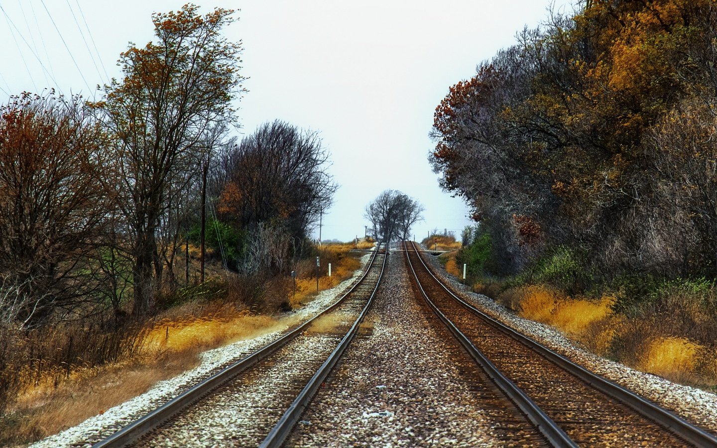 Обои железная дорога, природа, осень, railroad, nature, autumn разрешение 3840x2160 Загрузить