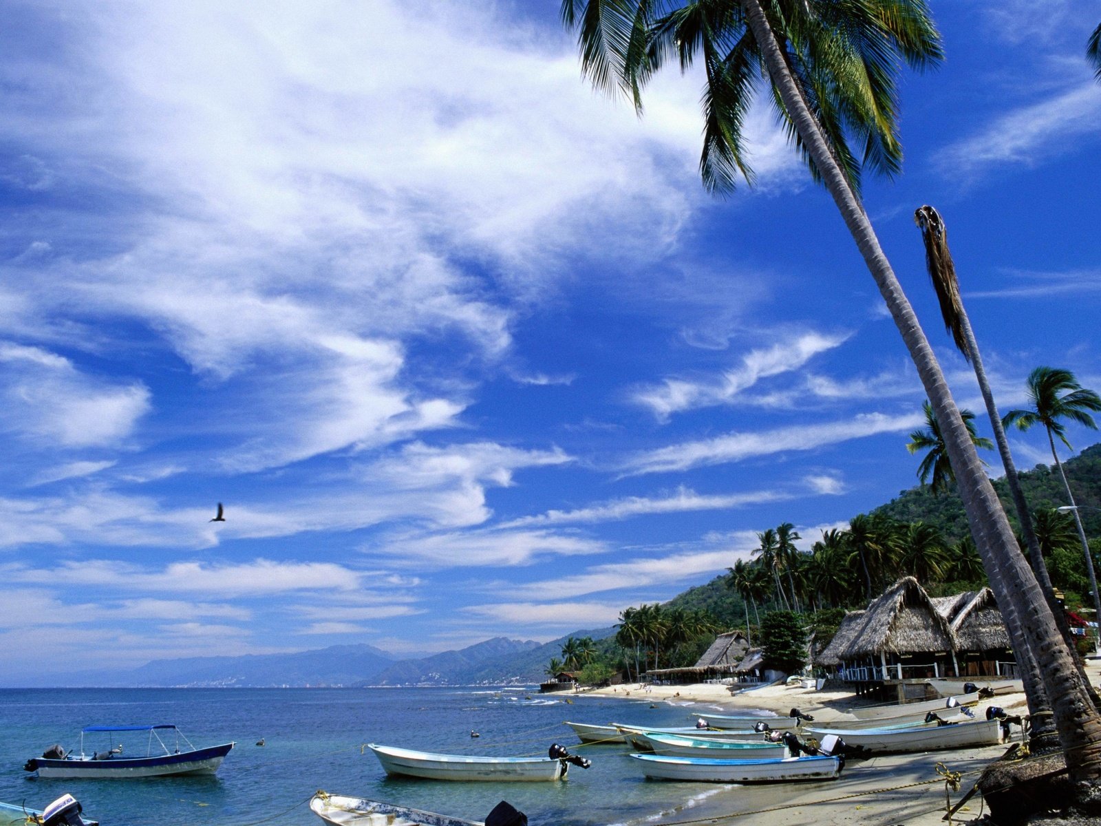 Обои море, пляж, лодки, бунгало, sea, beach, boats, bungalow разрешение 4096x2732 Загрузить