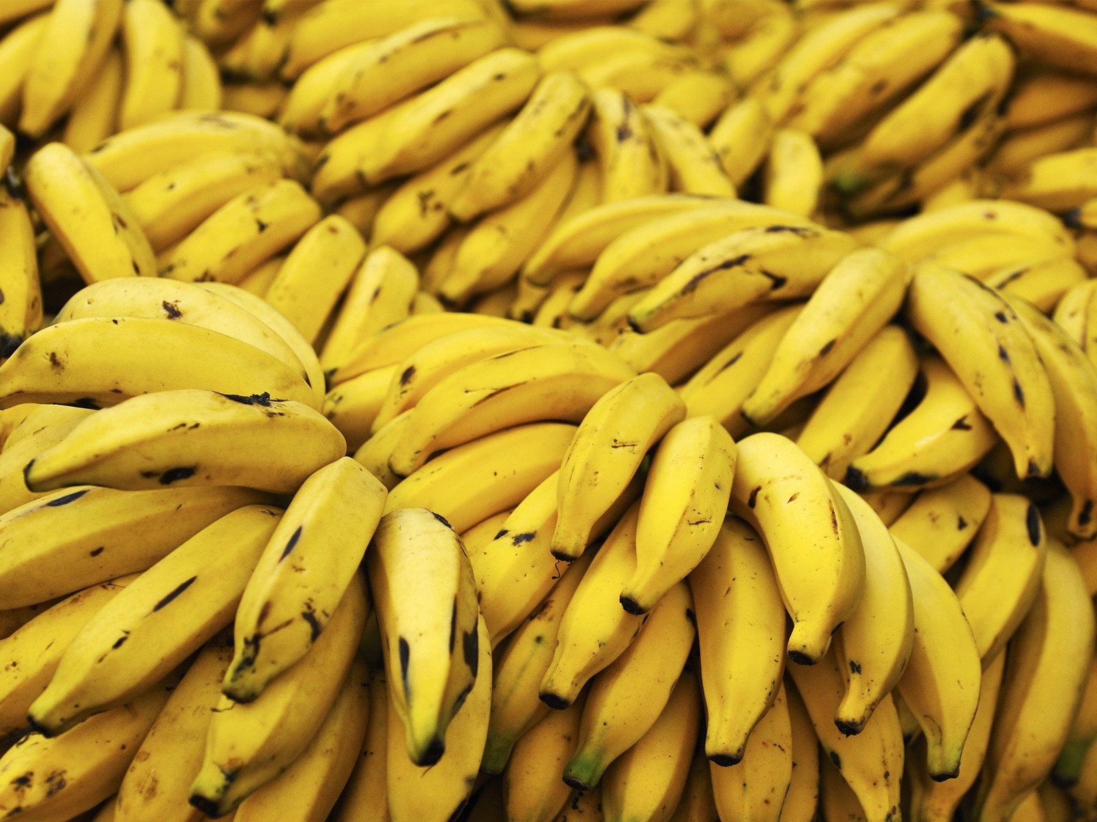 Обои фон, еда, много, растение, желтые, бананы, background, food, a lot, plant, yellow, bananas разрешение 1920x1200 Загрузить