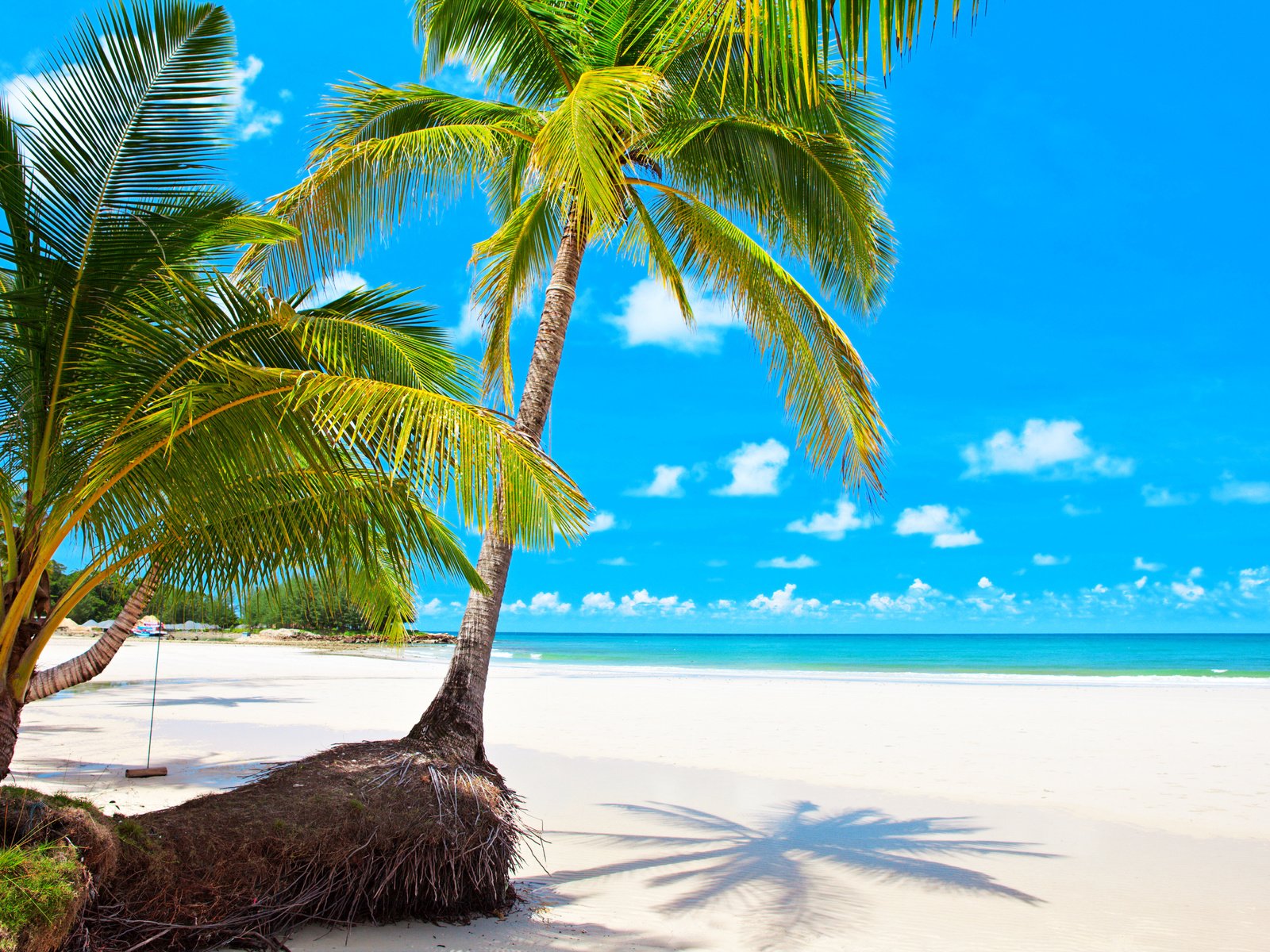Обои море, пляж, отдых, тропики, мальдивы, sea, beach, stay, tropics, the maldives разрешение 6830x4402 Загрузить