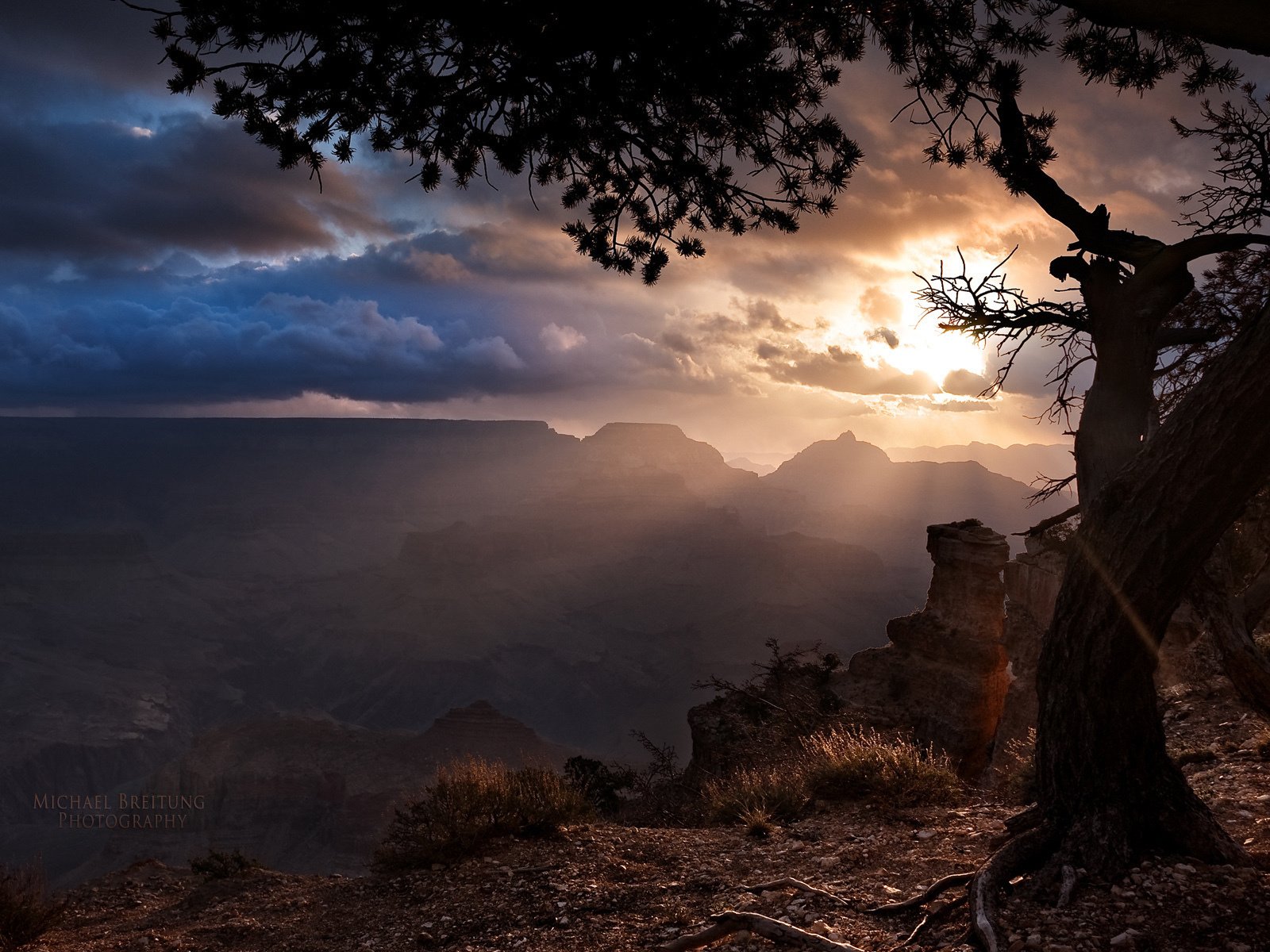 Обои дерево, тучи, лучи солнца, аризона, гранд каньон, tree, clouds, the rays of the sun, az, the grand canyon разрешение 1920x1200 Загрузить