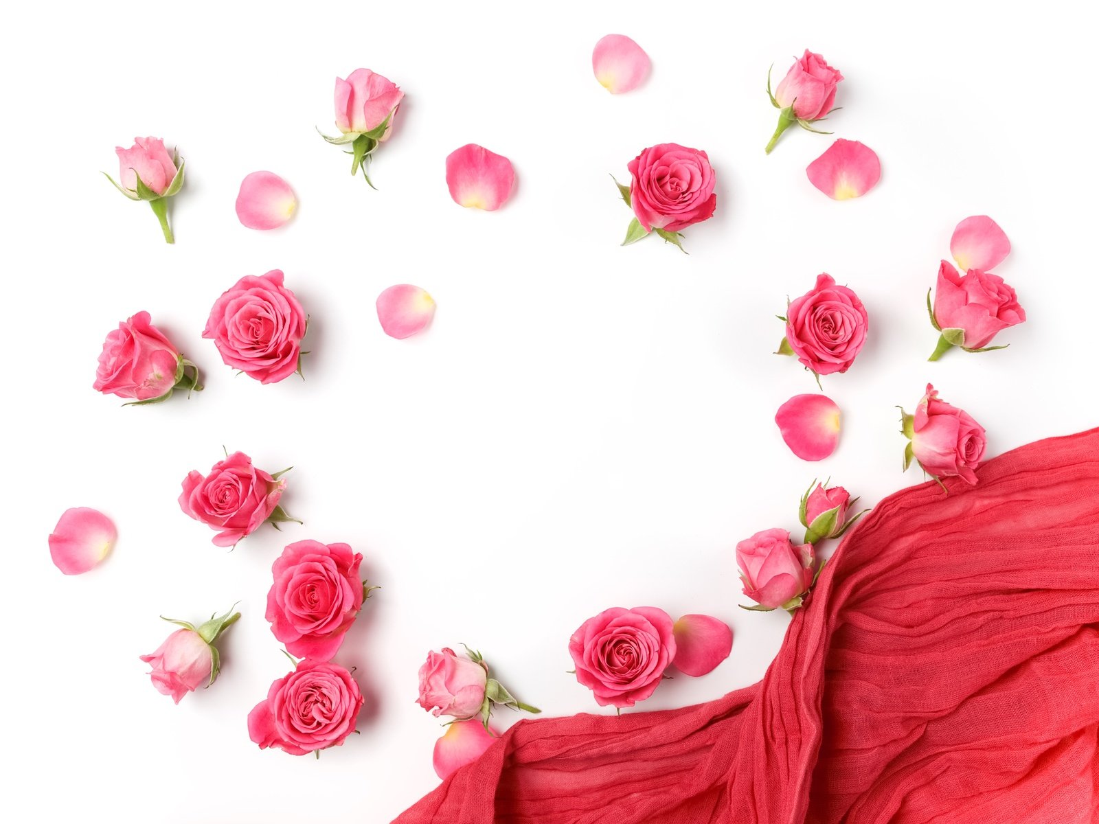 Обои цветы, бутоны, розы, лепестки, белый фон, романтик,  цветы, роз, пинк, flowers, buds, roses, petals, white background, romantic, pink разрешение 4990x3744 Загрузить