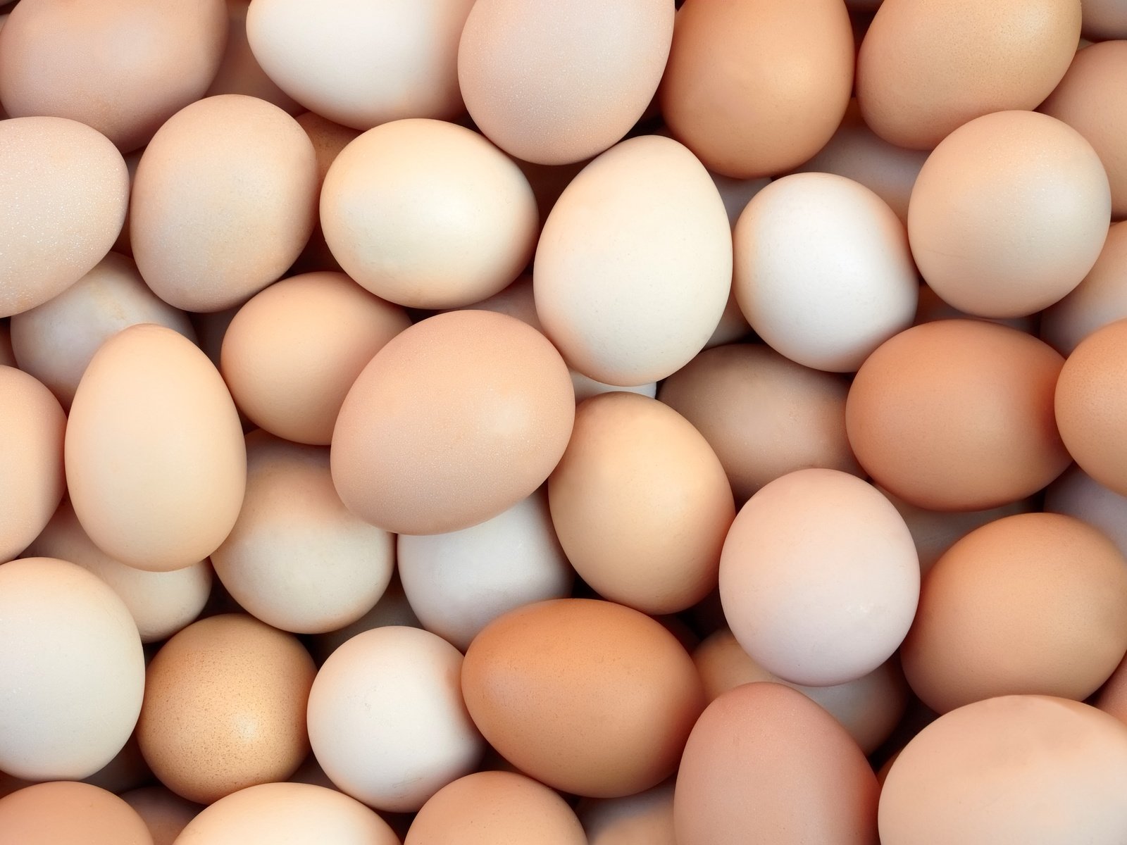 Обои яйца, яйцо, яйцо куриное, eggs, egg, chicken egg разрешение 3897x2598 Загрузить