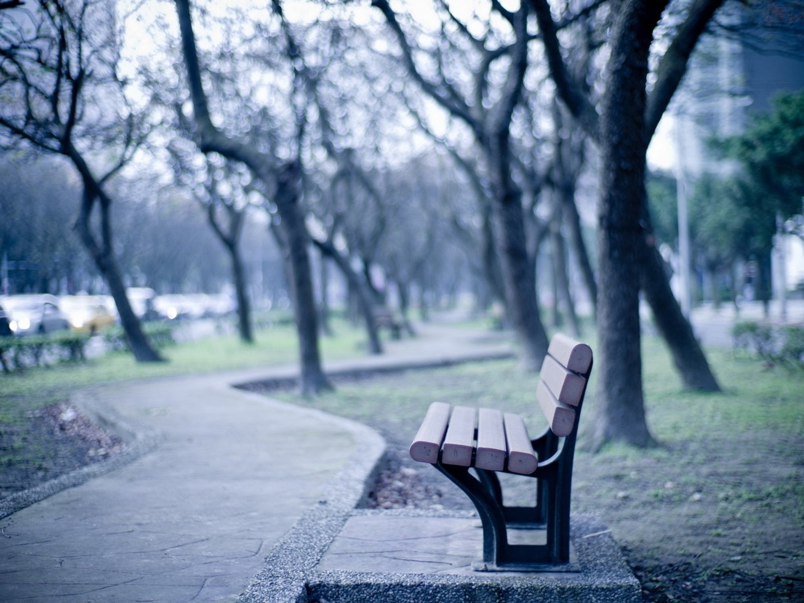 Обои деревья, дорожка, стволы, город, улица, скамья, тротуар, trees, track, trunks, the city, street, bench, the sidewalk разрешение 2560x1600 Загрузить