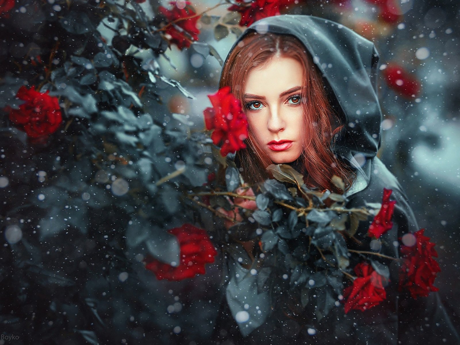 Обои снег, девушка, розы, взгляд, модель, капюшон, рыжеволосая, ольга бойко, snow, girl, roses, look, model, hood, redhead, olga boyko разрешение 1920x1280 Загрузить