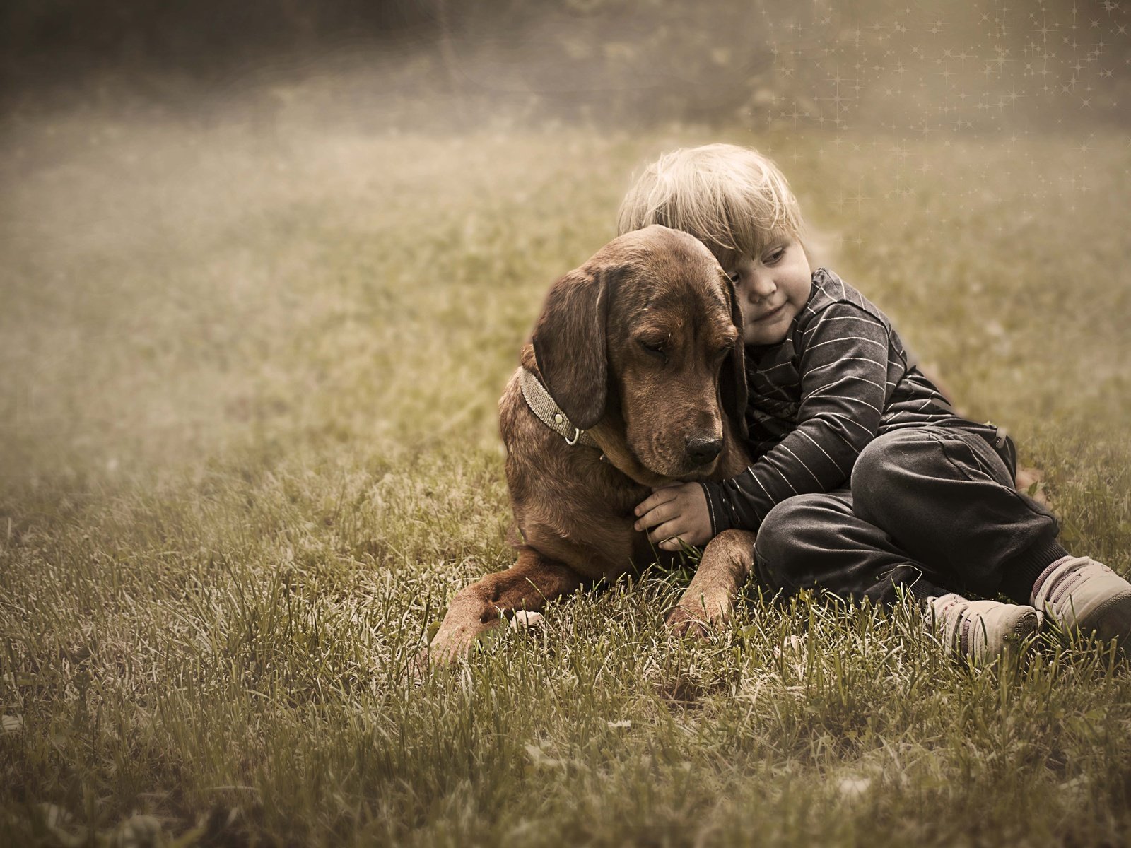 Обои трава, собака, дети, ребенок, мальчик, друзья, grass, dog, children, child, boy, friends разрешение 5412x3840 Загрузить