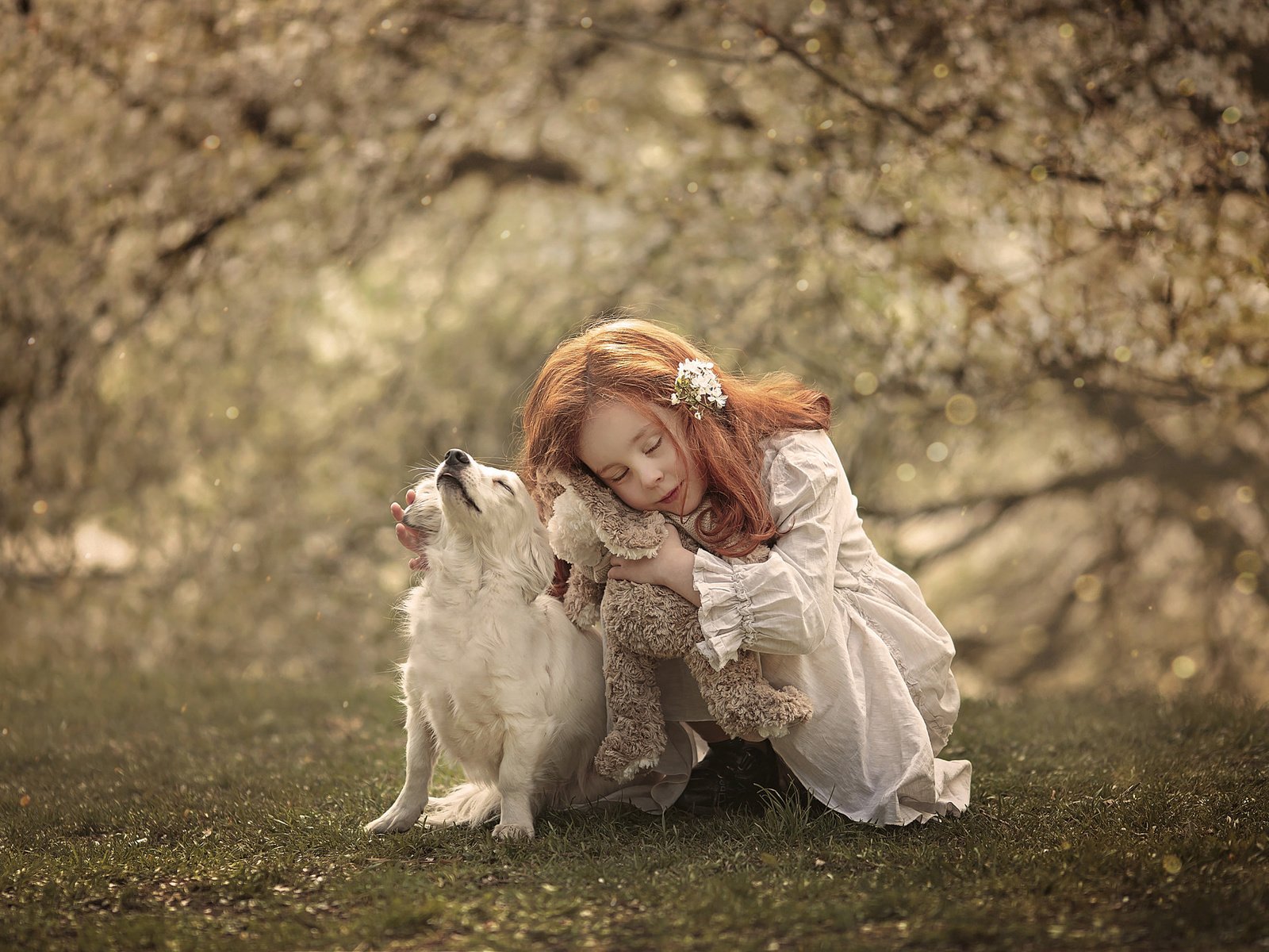 Обои природа, собака, рыжая, девочка, игрушка, ребенок, животное, ann podsiedlik, nature, dog, red, girl, toy, child, animal разрешение 2048x1365 Загрузить