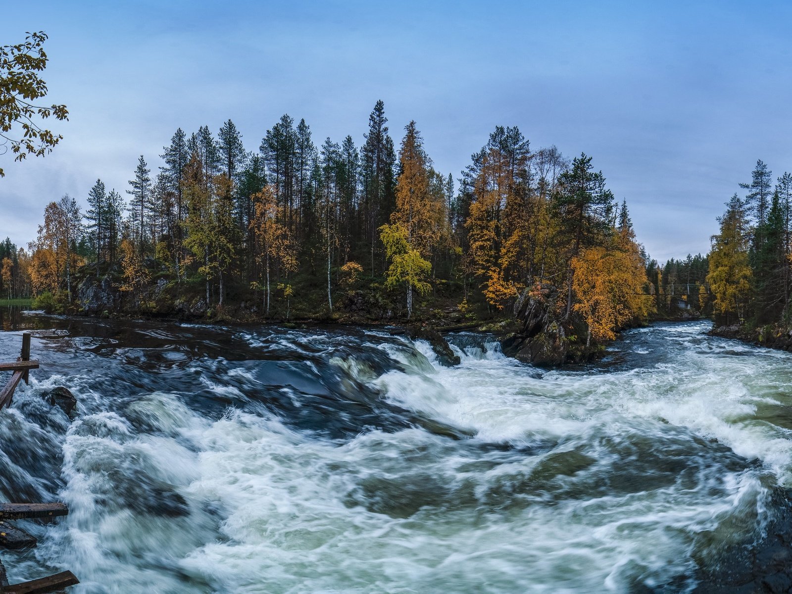 Обои деревья, река, лес, осень, финляндия, kuusamo, trees, river, forest, autumn, finland разрешение 3072x1500 Загрузить