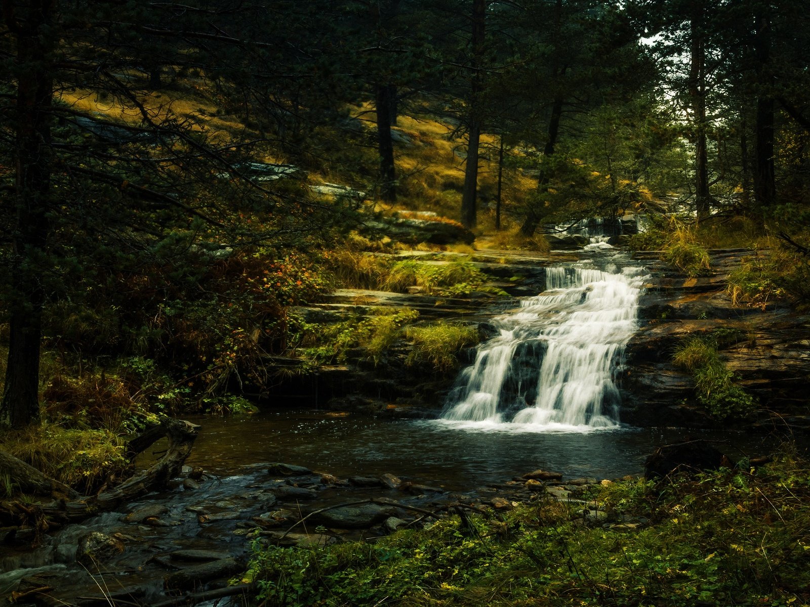 Обои камни, лес, ветки, водопад, полумрак, stones, forest, branches, waterfall, twilight разрешение 3840x2160 Загрузить