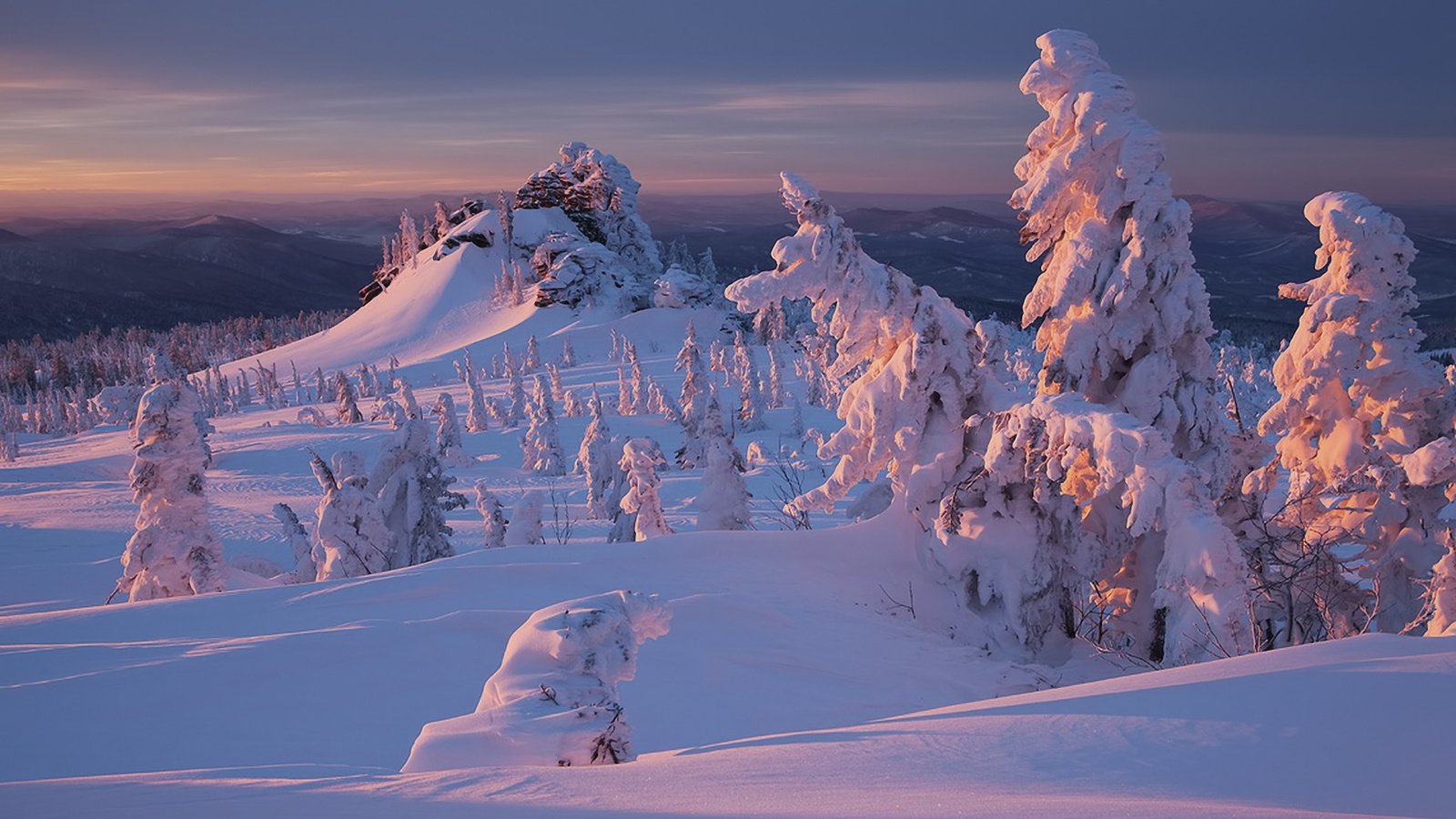 Обои снег, природа, лес, закат, зима, snow, nature, forest, sunset, winter разрешение 1920x1200 Загрузить